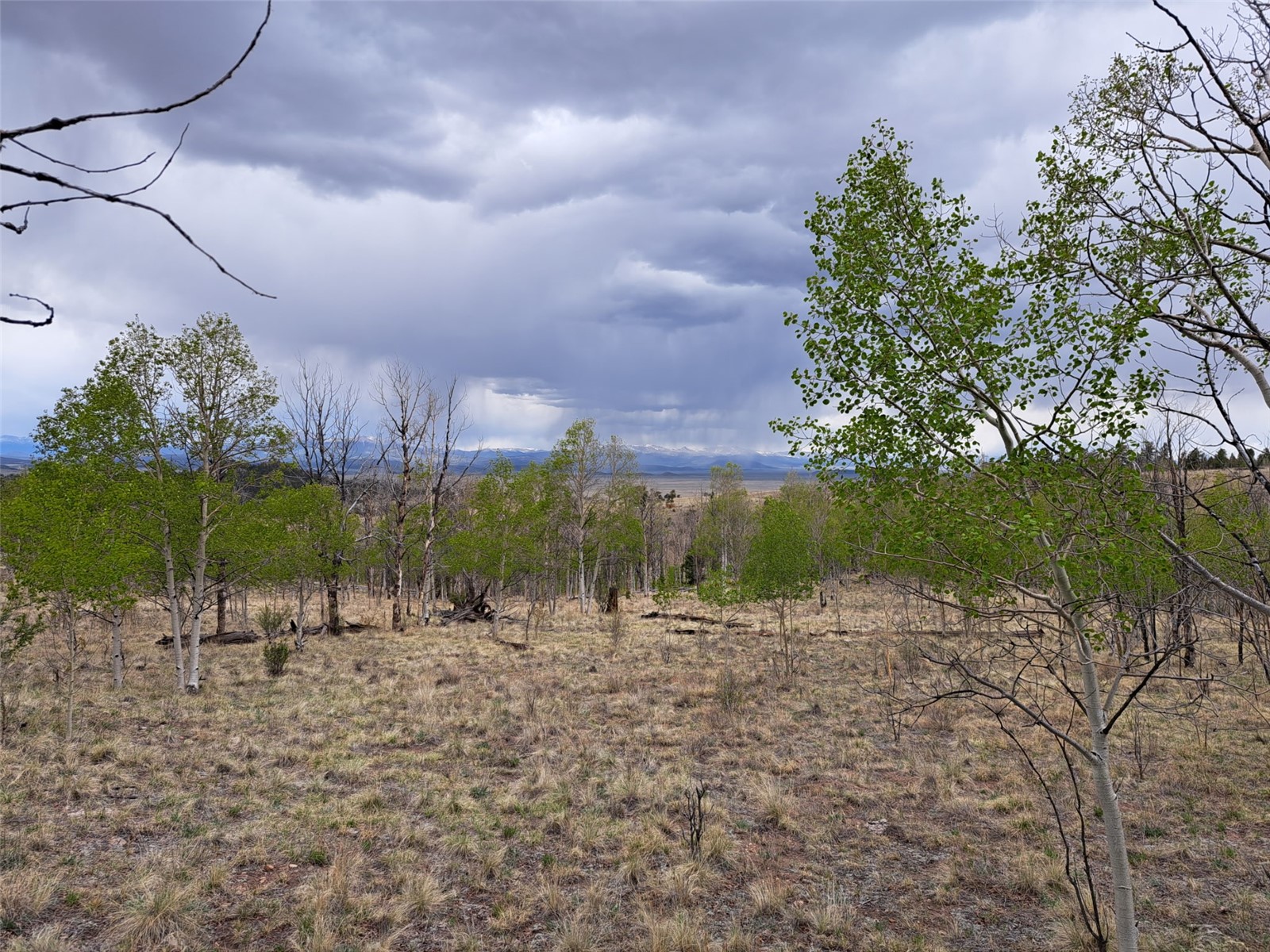 ` Dog Soldier Trail Hartsel CO 80449