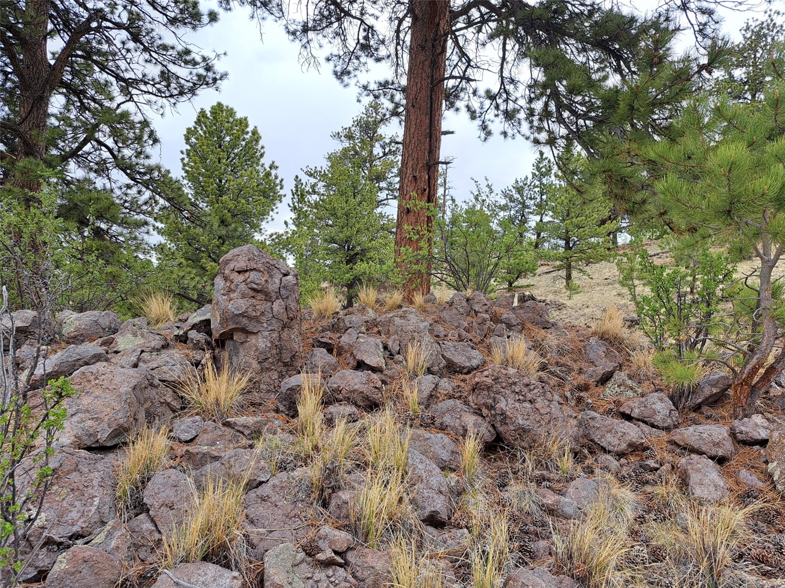 ` Dog Soldier Trail Hartsel CO 80449