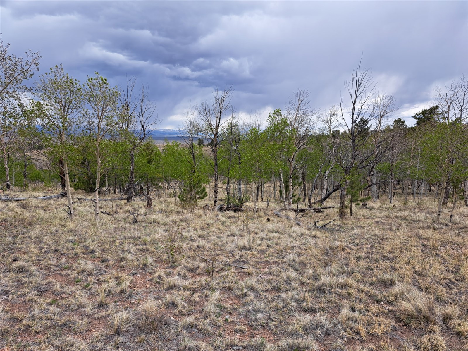 ` Dog Soldier Trail Hartsel CO 80449