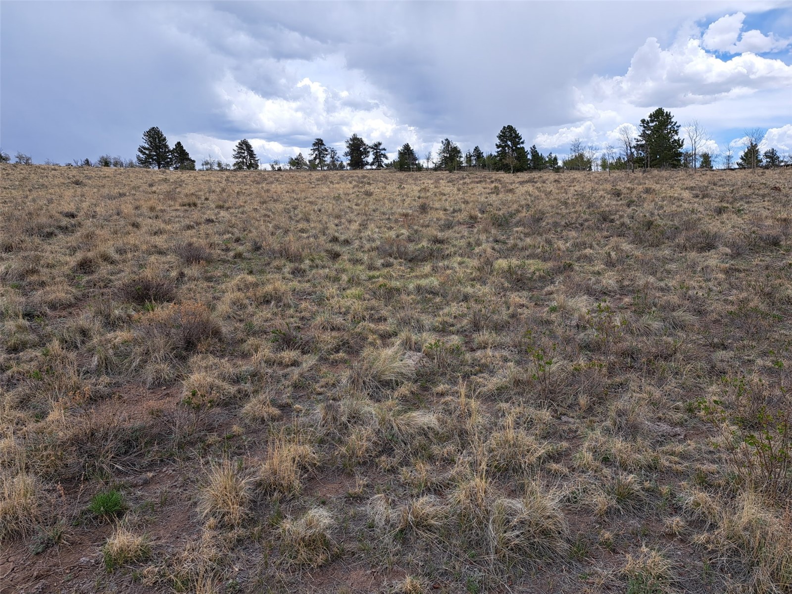 ` Dog Soldier Trail Hartsel CO 80449