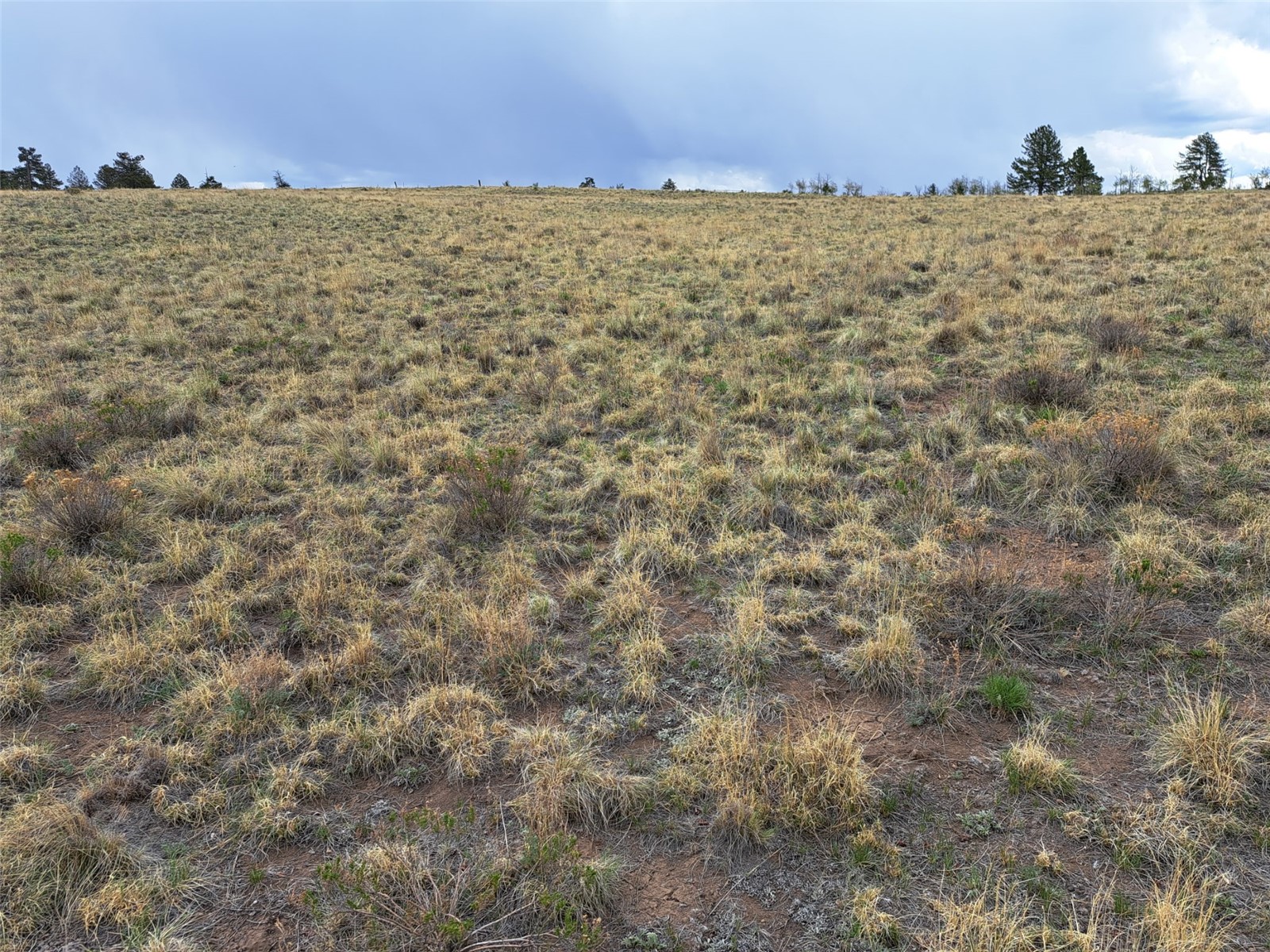 ` Dog Soldier Trail Hartsel CO 80449