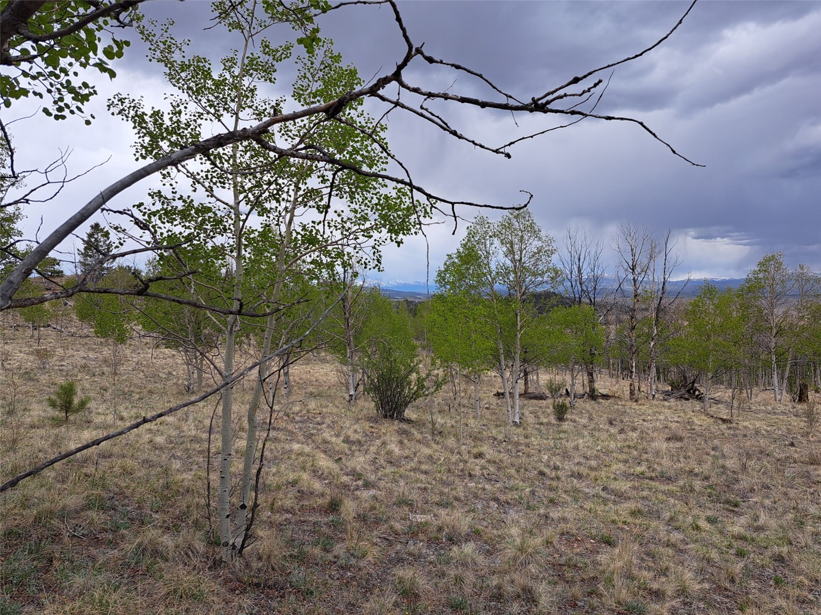 ` Dog Soldier Trail Hartsel CO 80449