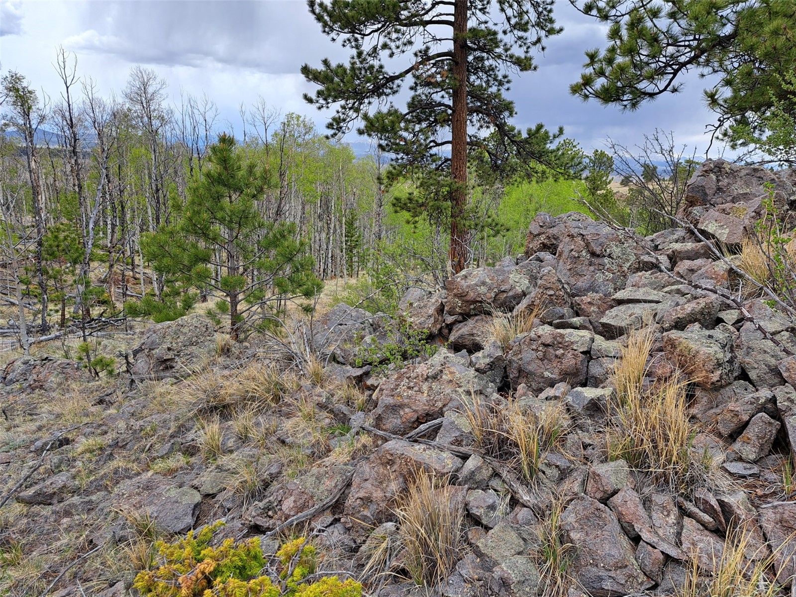 ` Dog Soldier Trail Hartsel CO 80449