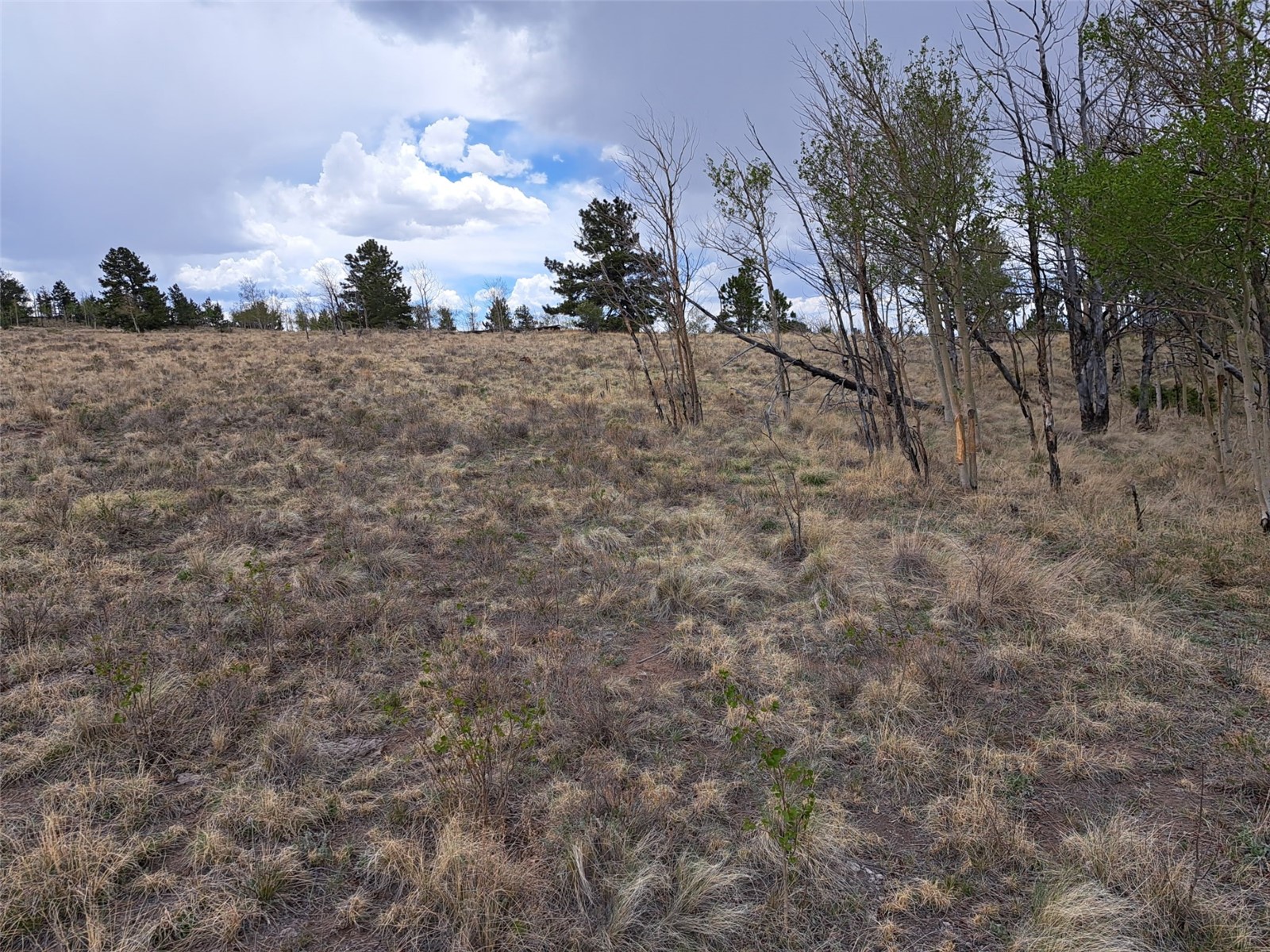 ` Dog Soldier Trail Hartsel CO 80449
