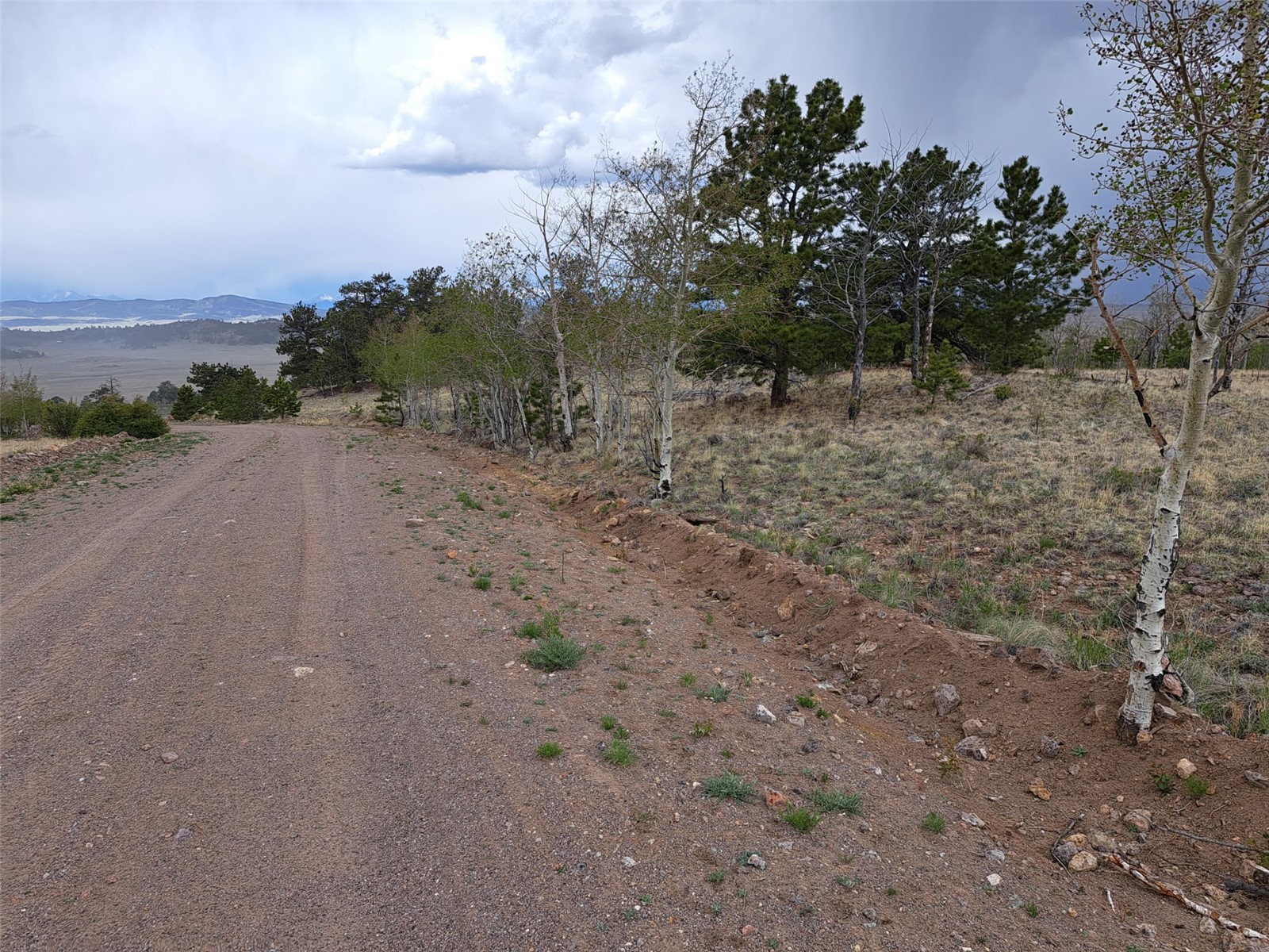 ` Dog Soldier Trail Hartsel CO 80449