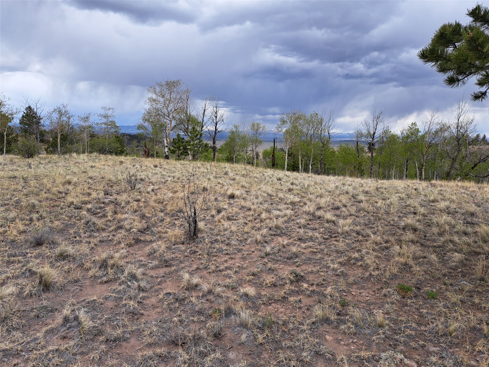 ` Dog Soldier Trail Hartsel CO 80449
