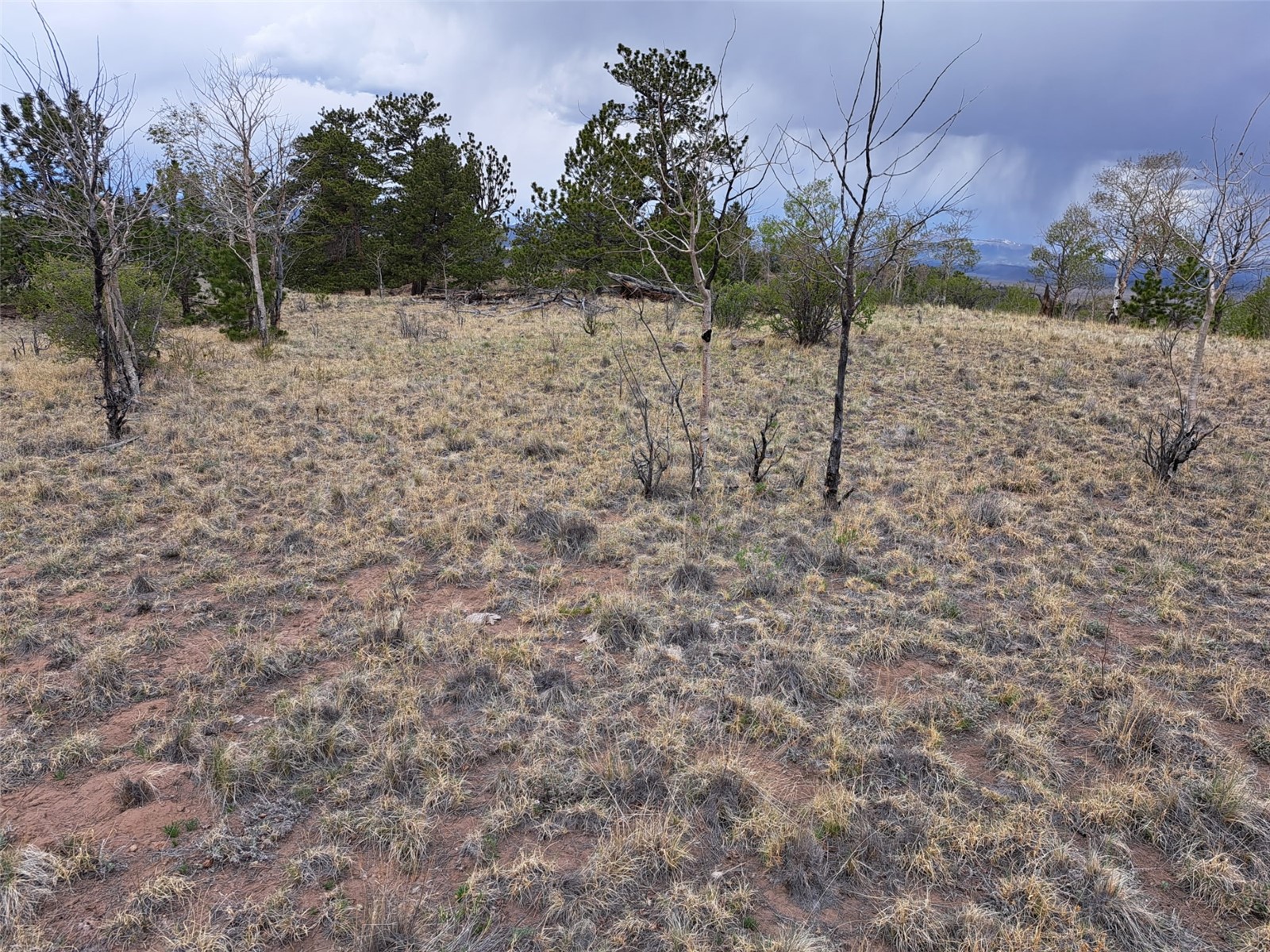 ` Dog Soldier Trail Hartsel CO 80449