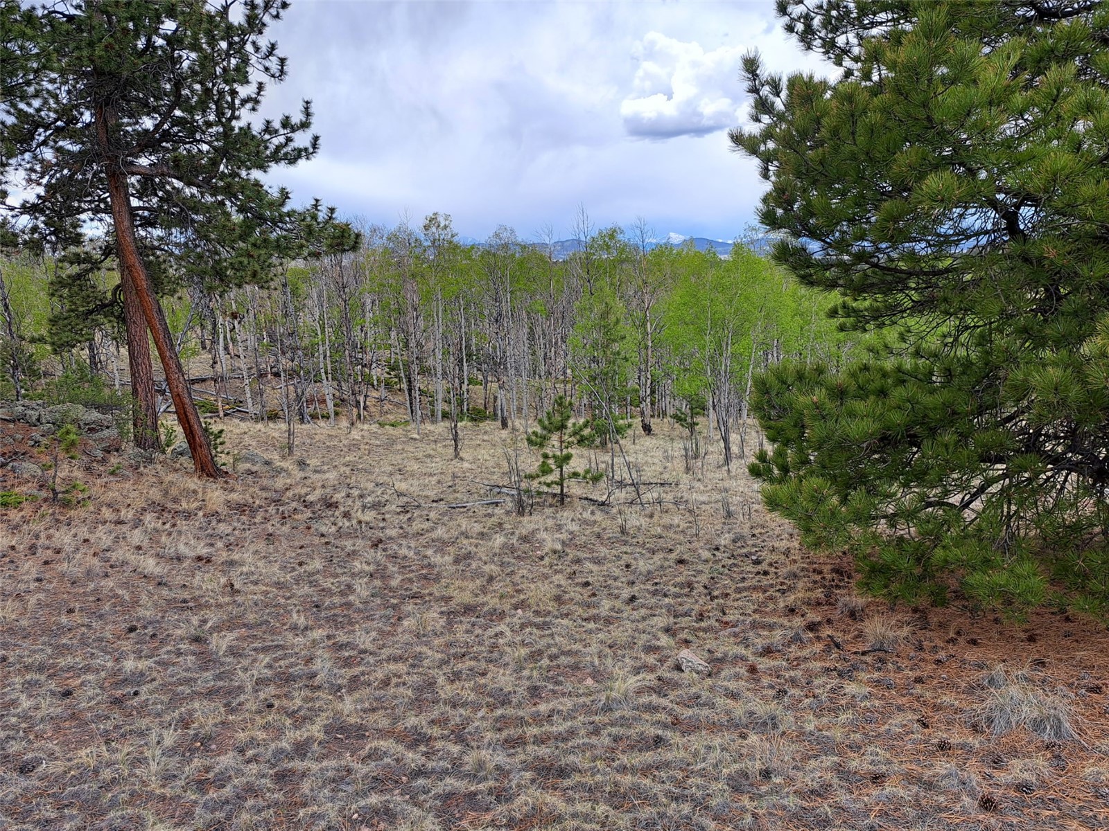 ` Dog Soldier Trail Hartsel CO 80449