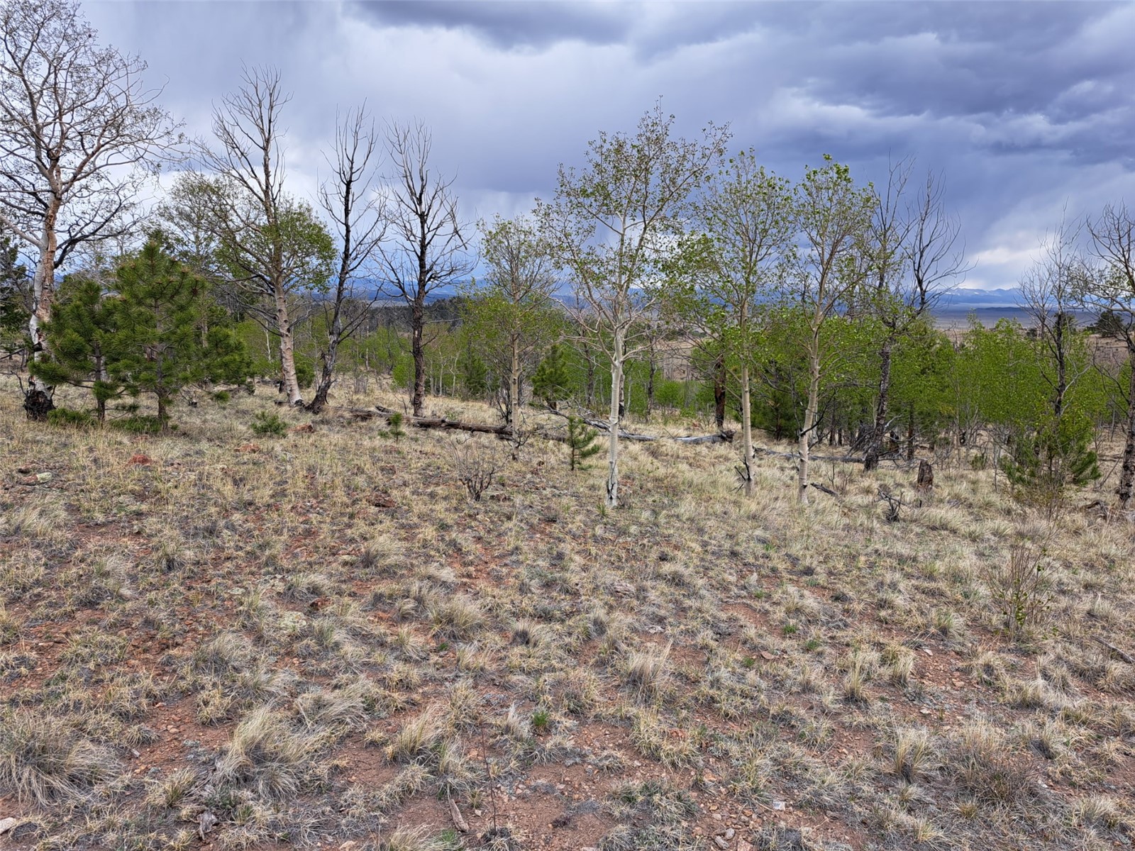 ` Dog Soldier Trail Hartsel CO 80449