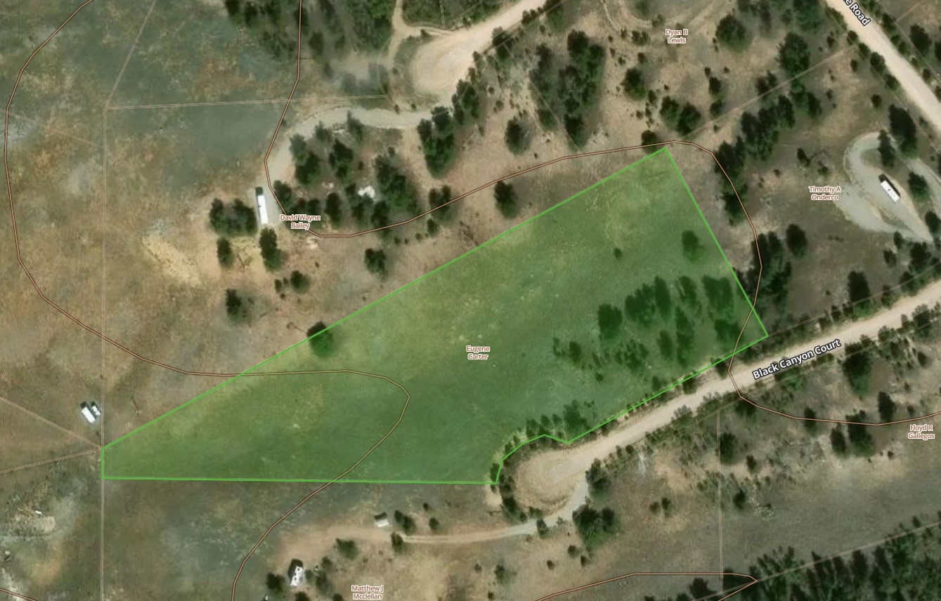 115 Black Canyon Court Hartsel CO 80449