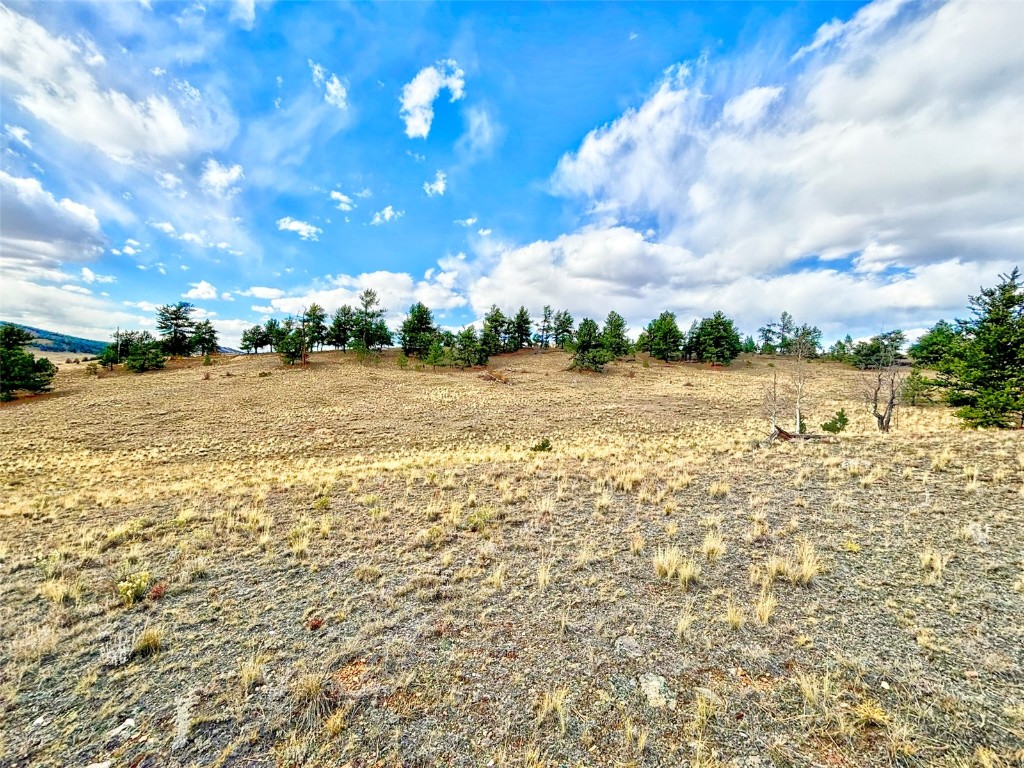 115 Black Canyon Court Hartsel CO 80449