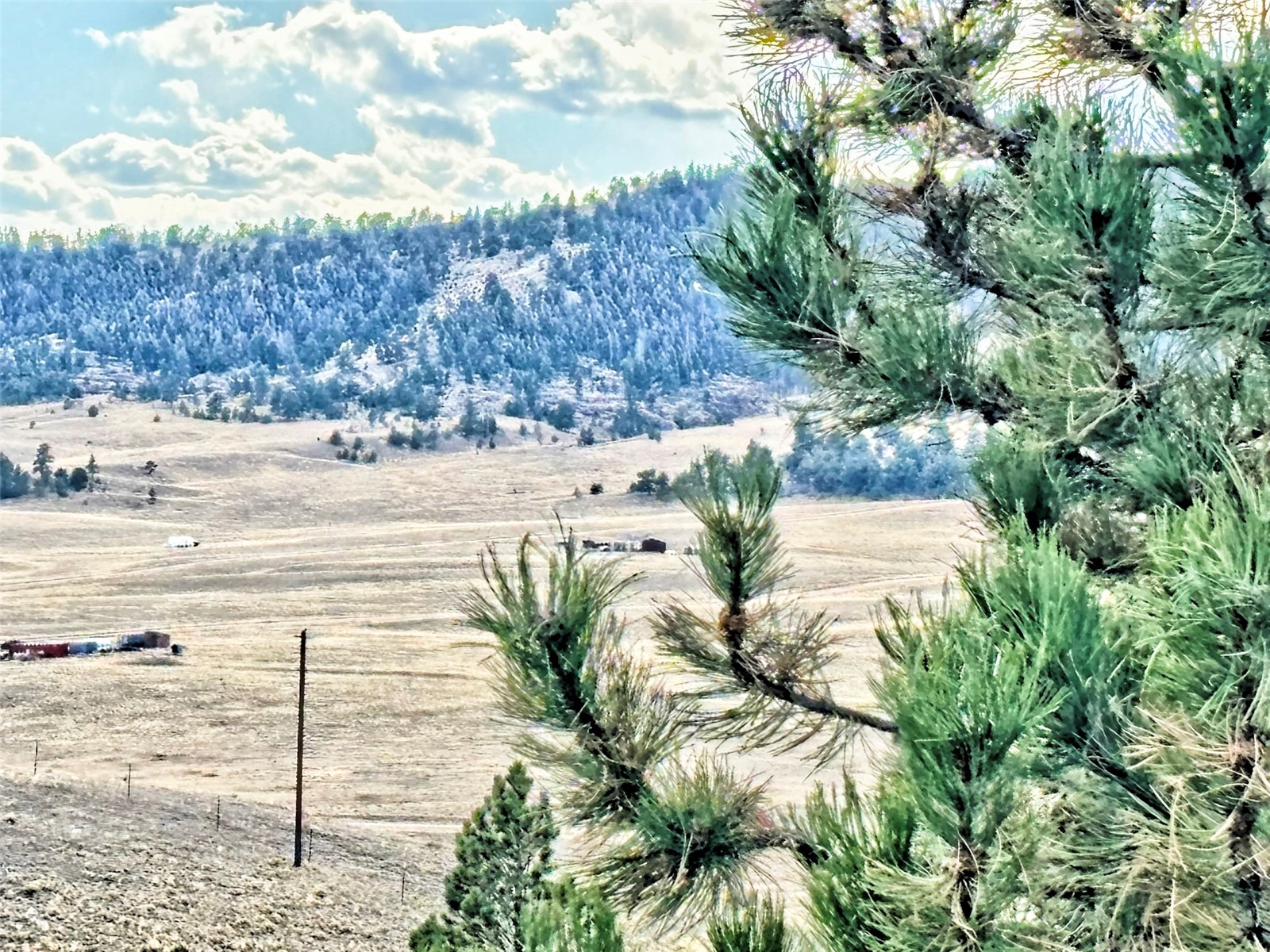 115 Black Canyon Court Hartsel CO 80449