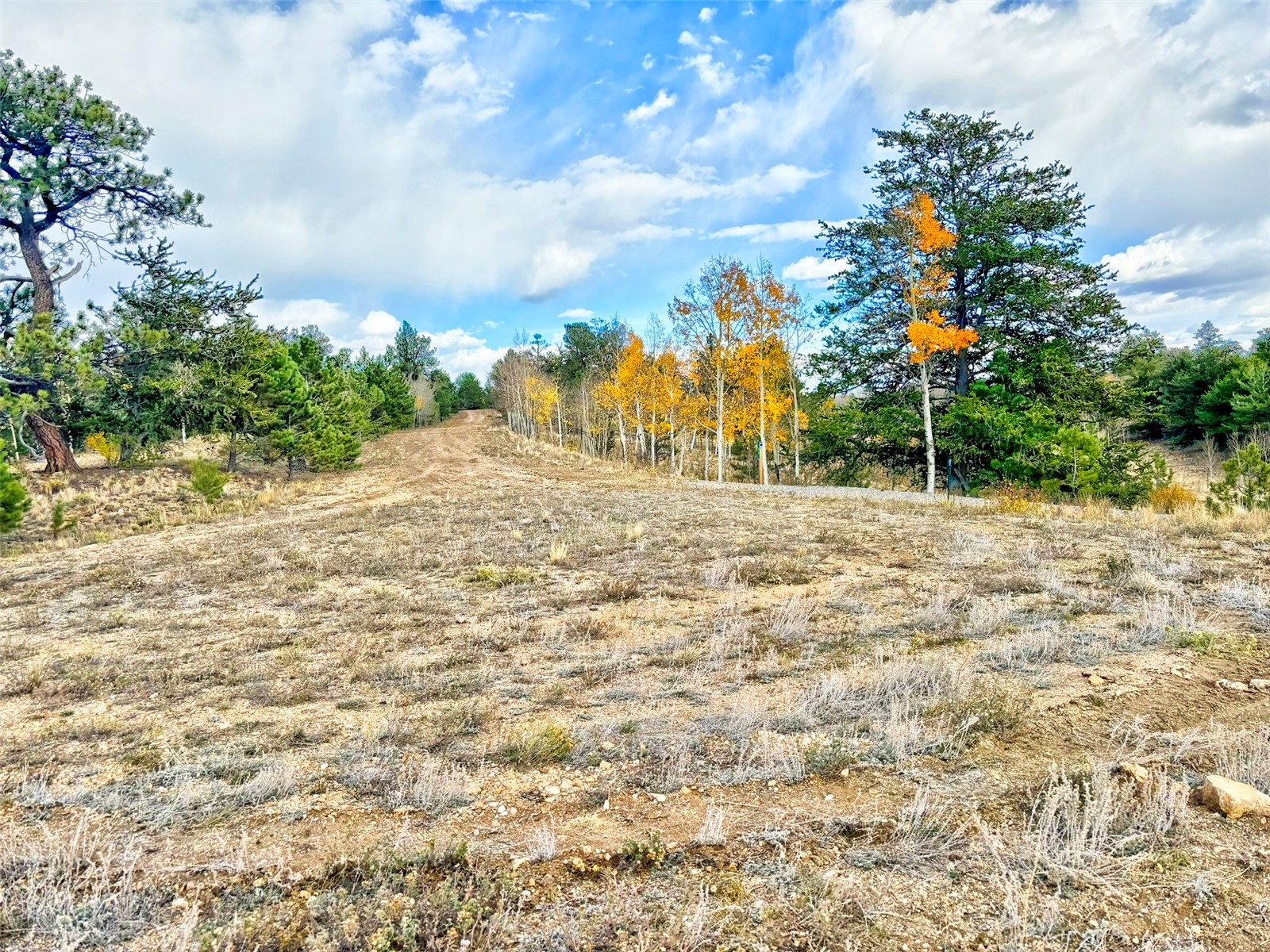 115 Black Canyon Court Hartsel CO 80449