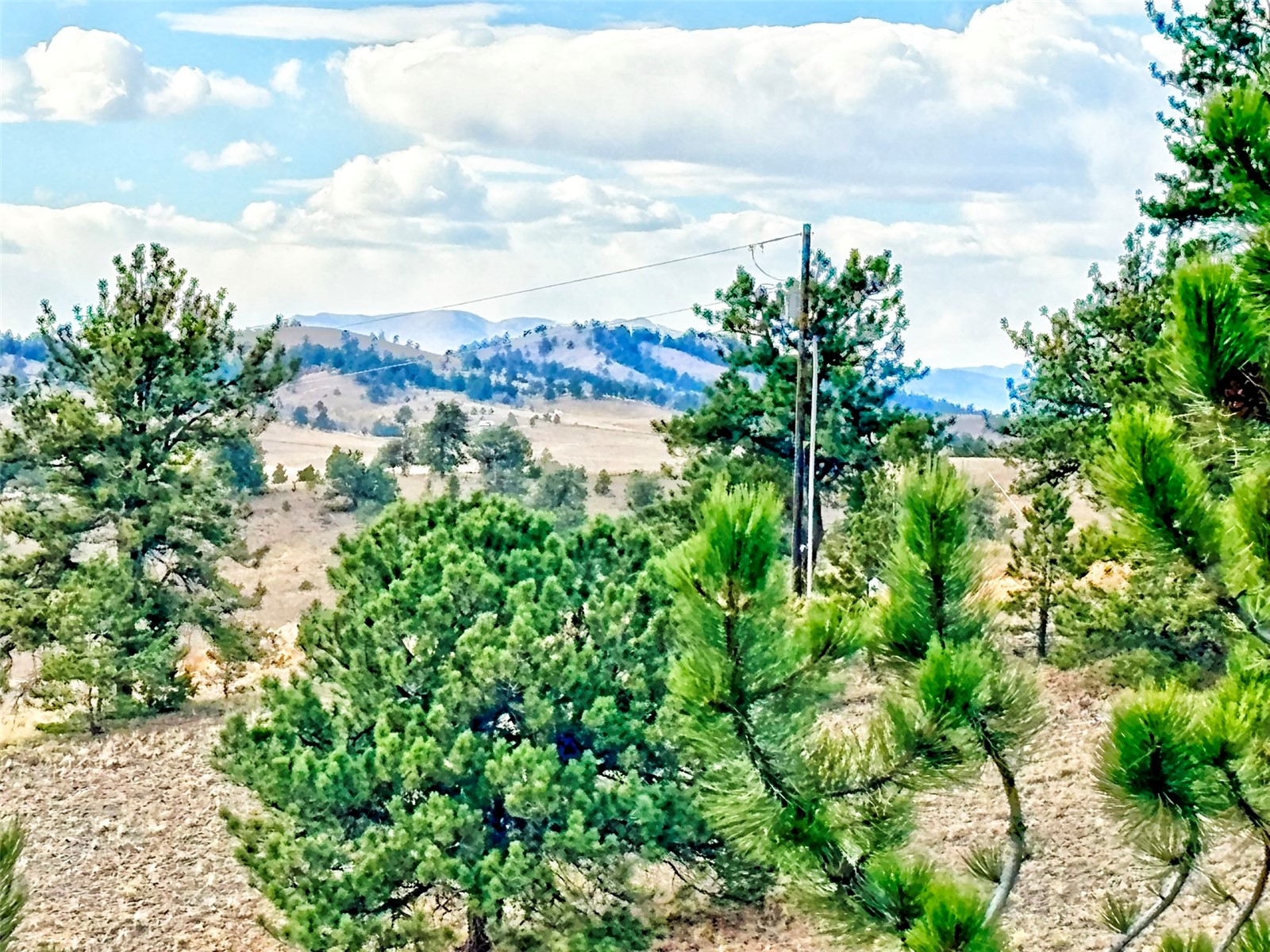 115 Black Canyon Court Hartsel CO 80449