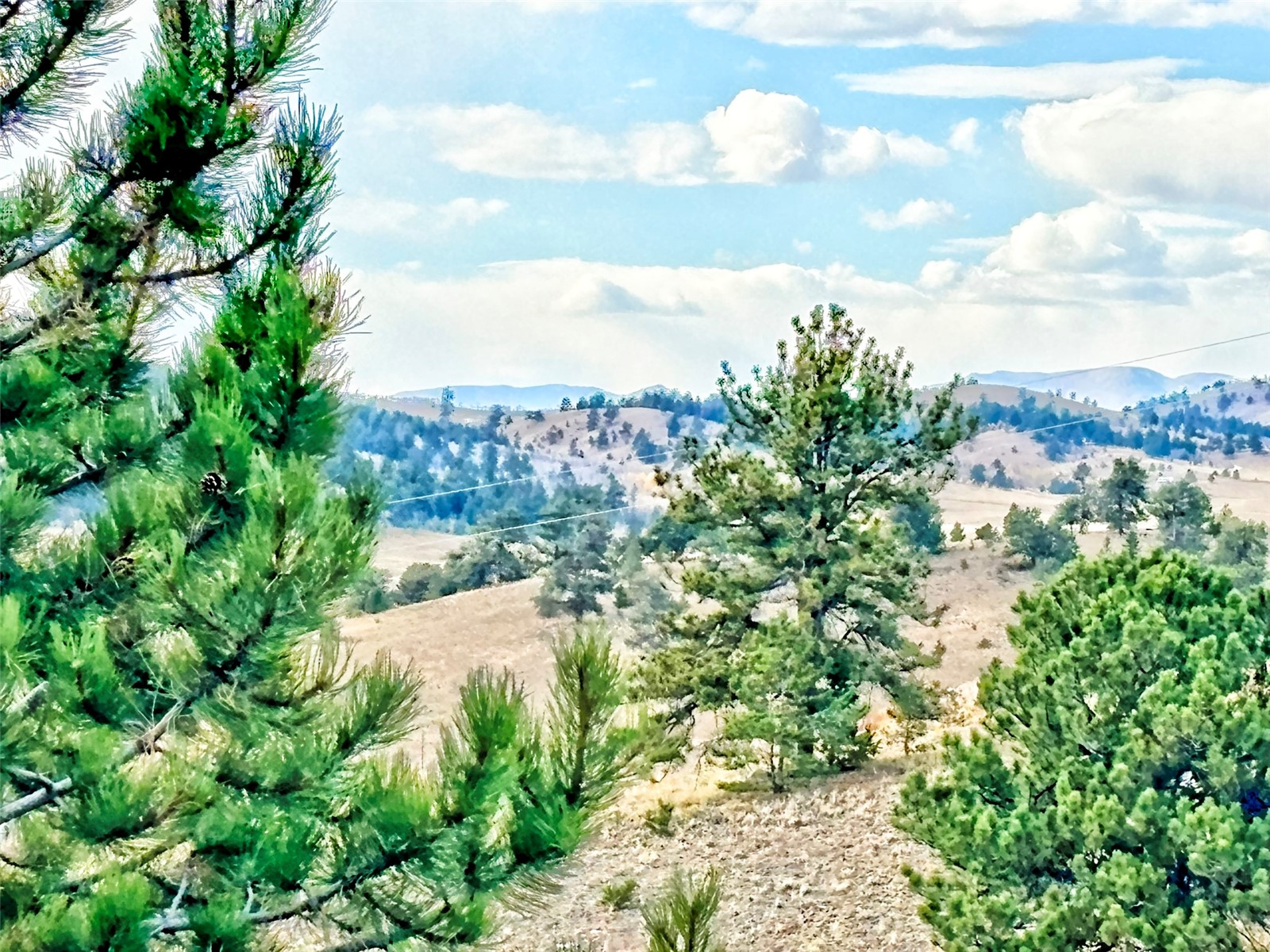 115 Black Canyon Court Hartsel CO 80449
