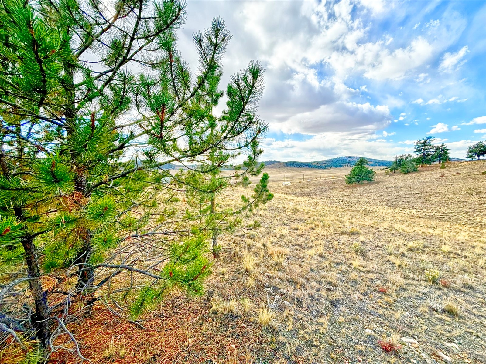 115 Black Canyon Court Hartsel CO 80449