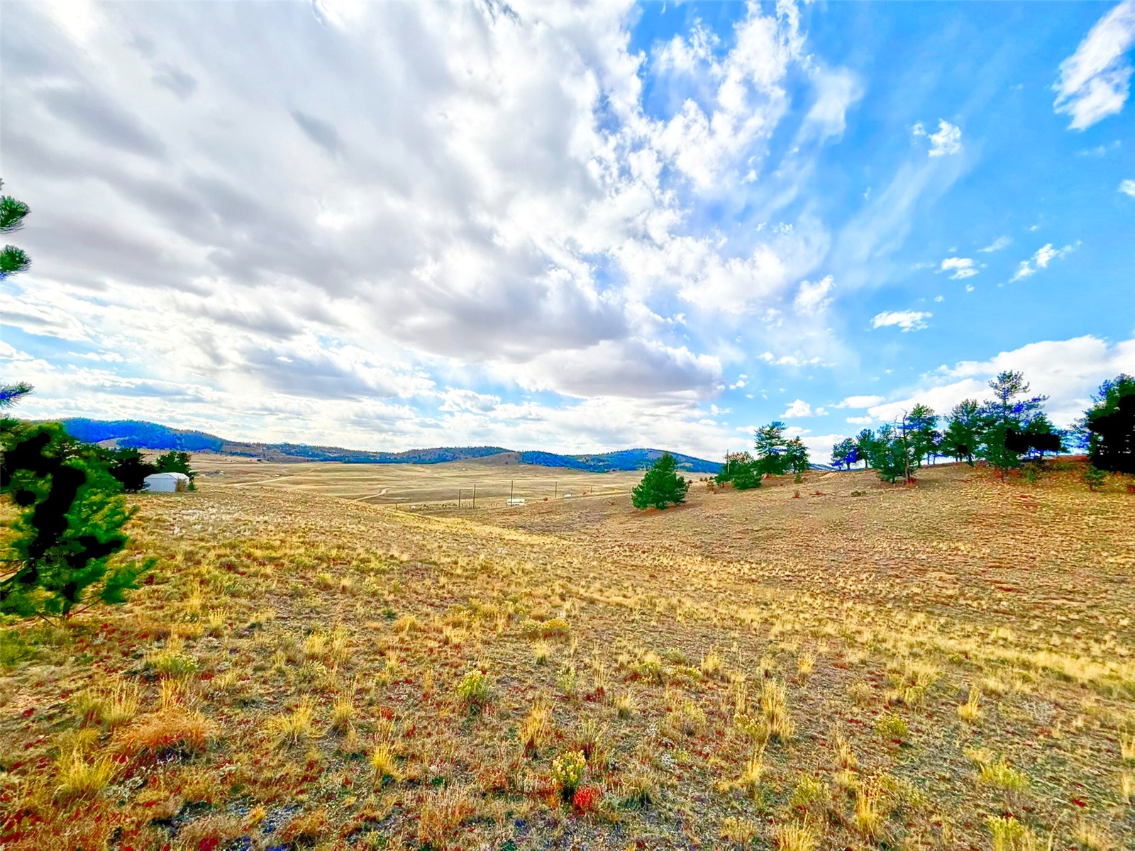 115 Black Canyon Court Hartsel CO 80449