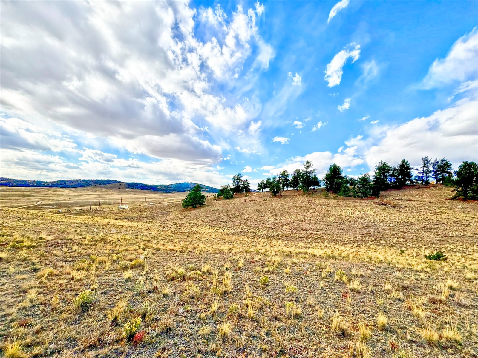 115 Black Canyon Court Hartsel CO 80449