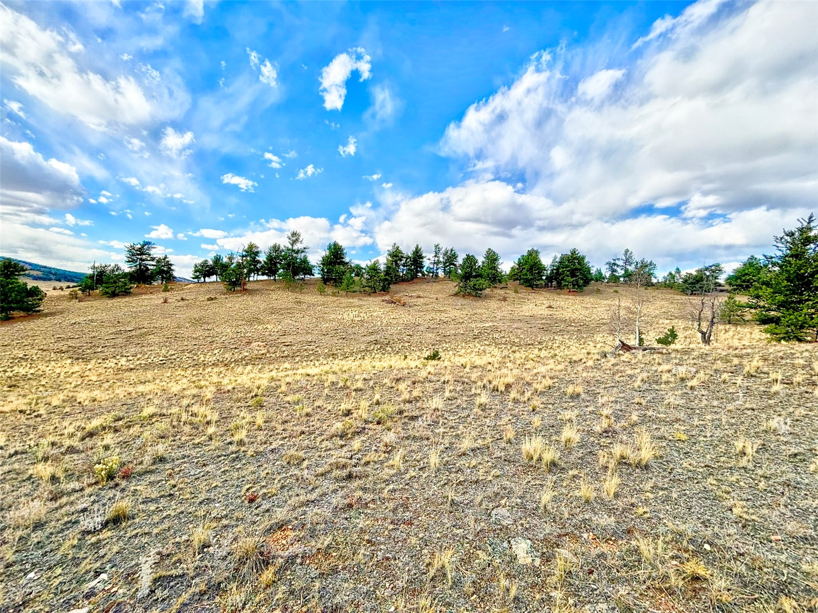 115 Black Canyon Court Hartsel CO 80449