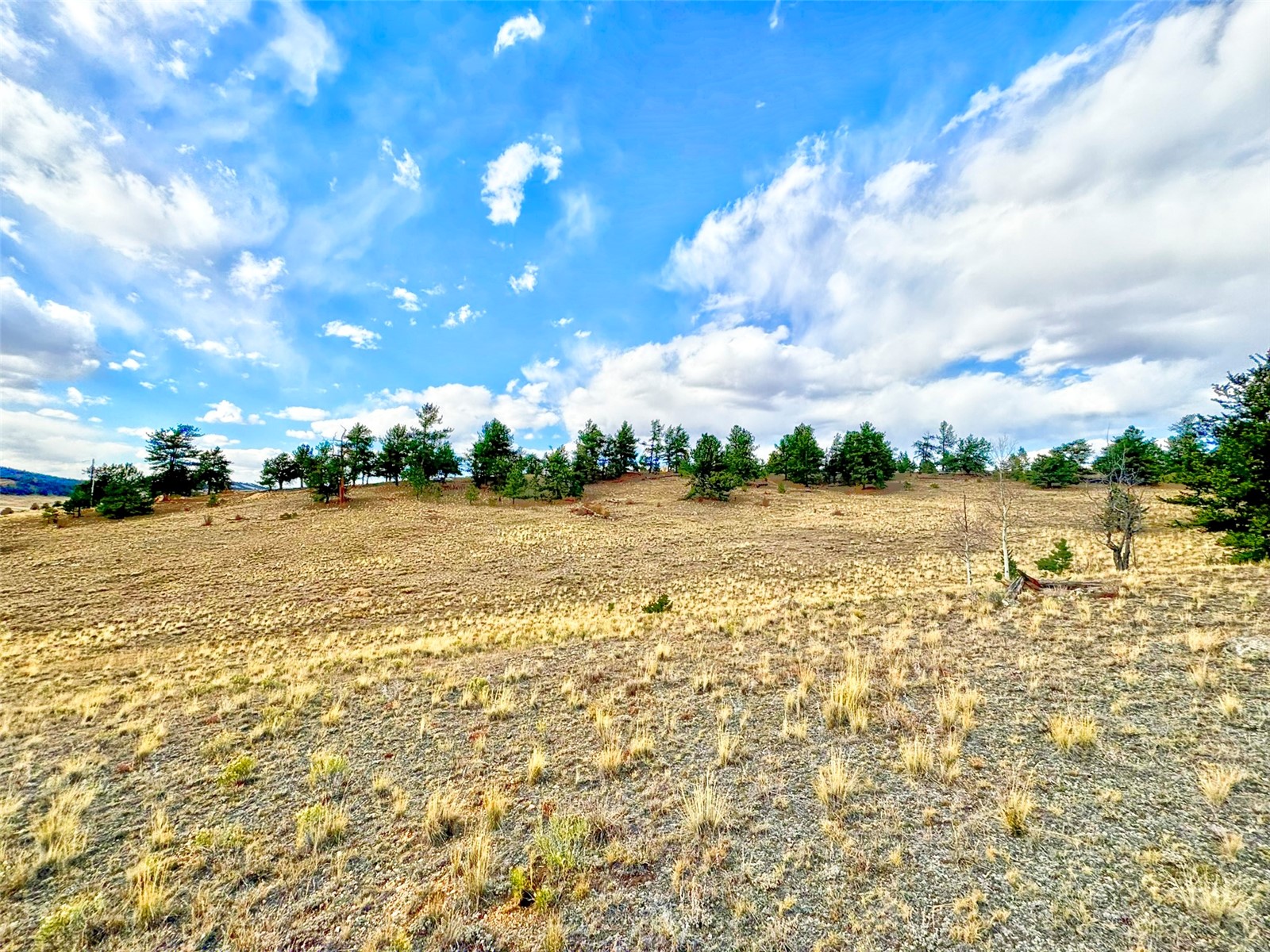 115 Black Canyon Court Hartsel CO 80449