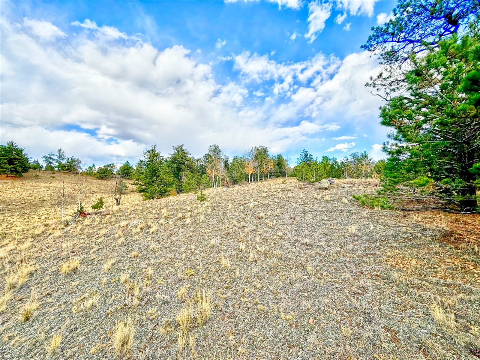 115 Black Canyon Court Hartsel CO 80449