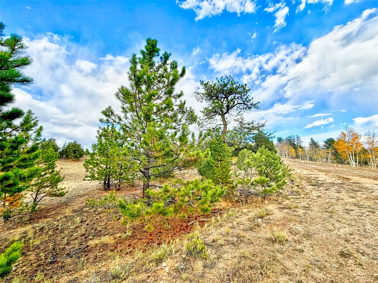115 Black Canyon Court Hartsel CO 80449