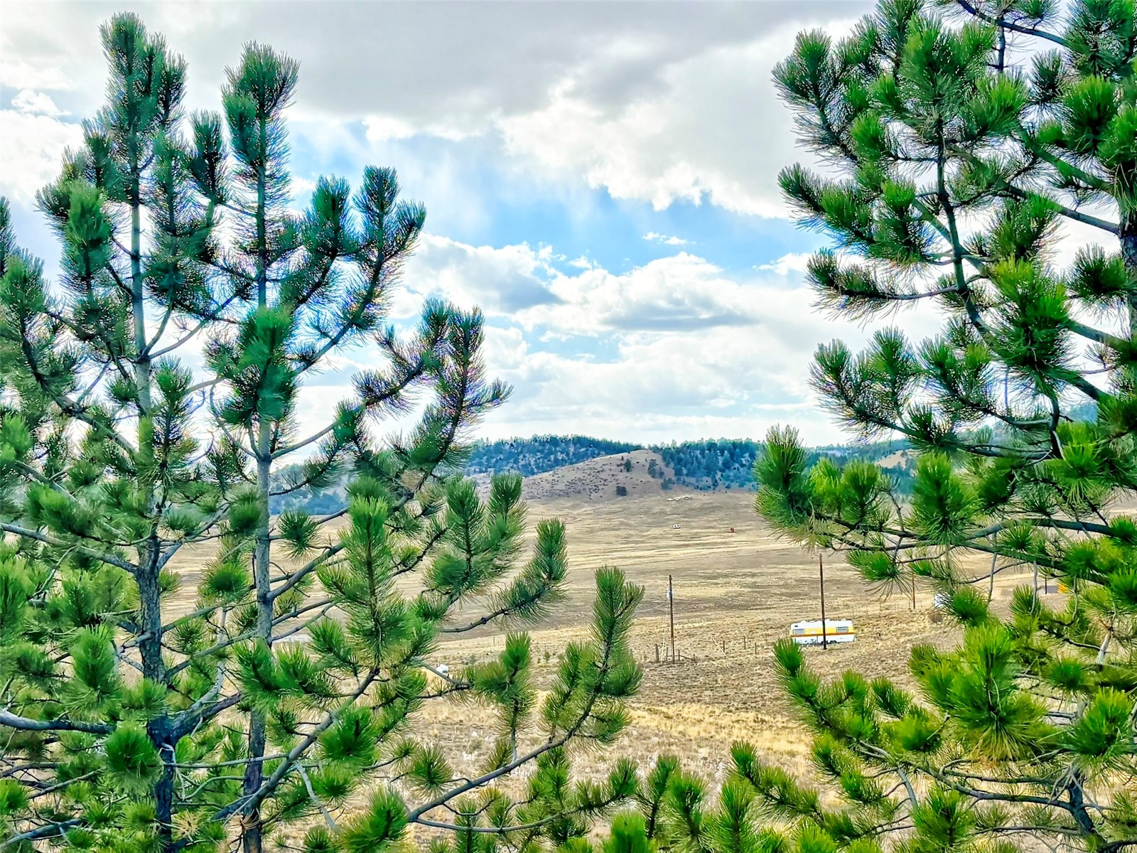 115 Black Canyon Court Hartsel CO 80449