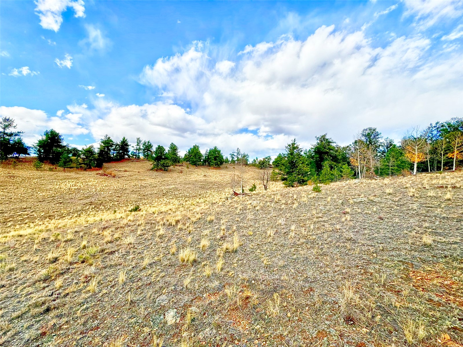 115 Black Canyon Court Hartsel CO 80449