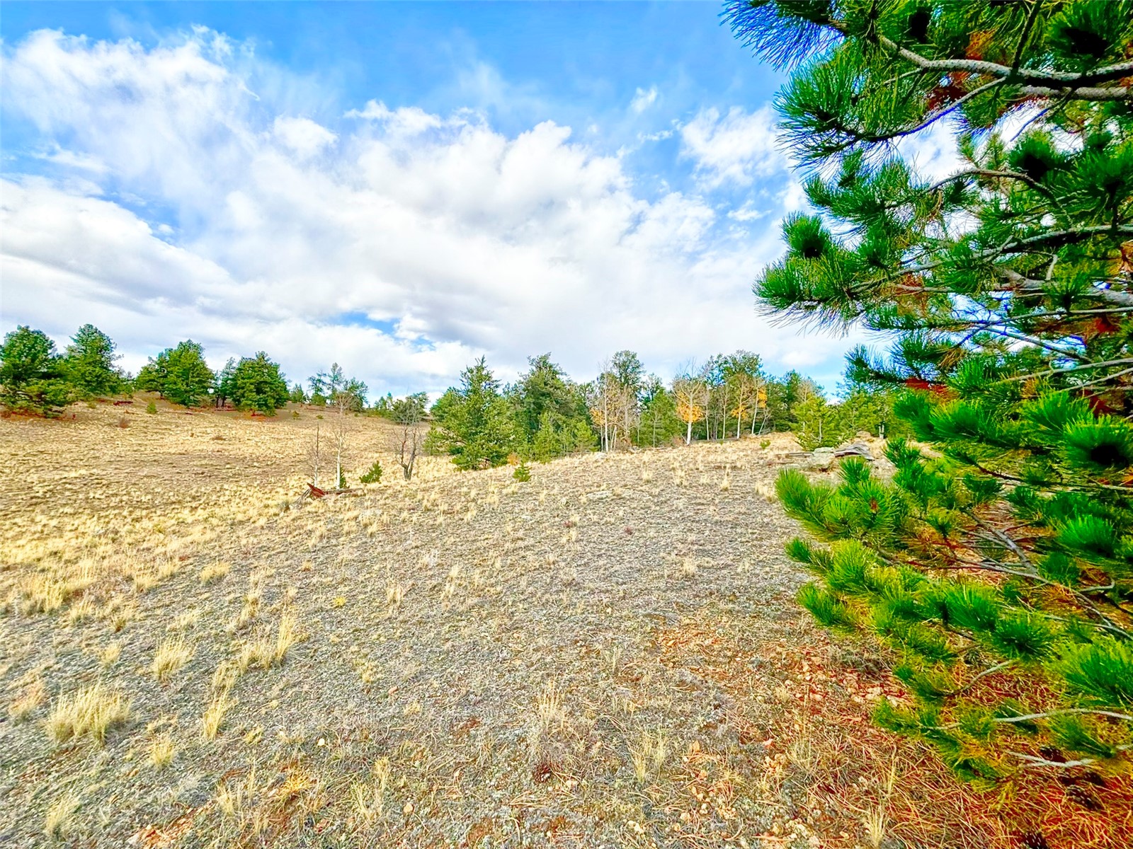 115 Black Canyon Court Hartsel CO 80449