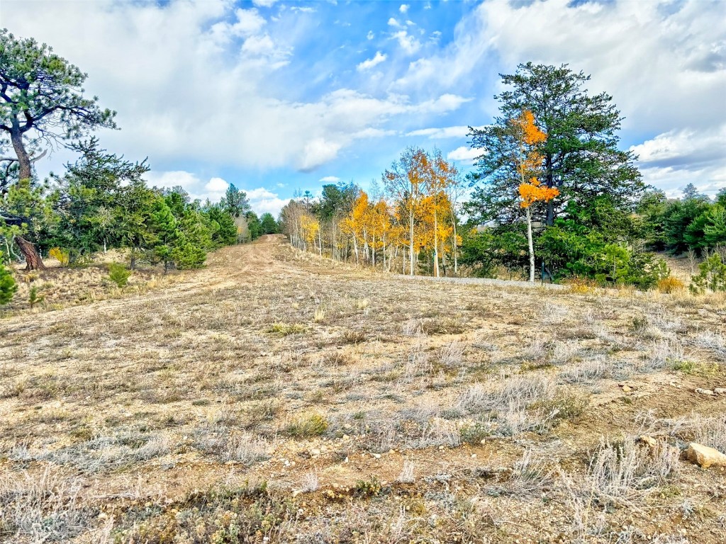 115 Black Canyon Court Hartsel CO 80449