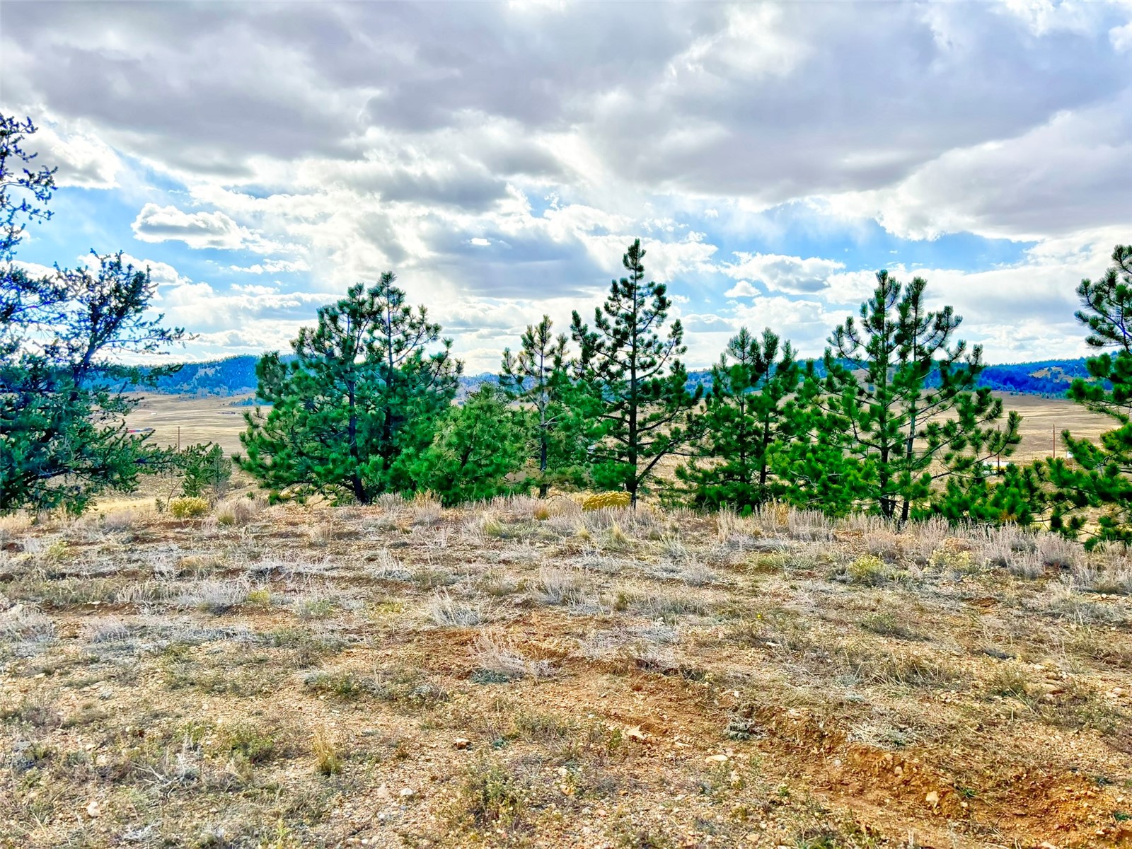115 Black Canyon Court Hartsel CO 80449