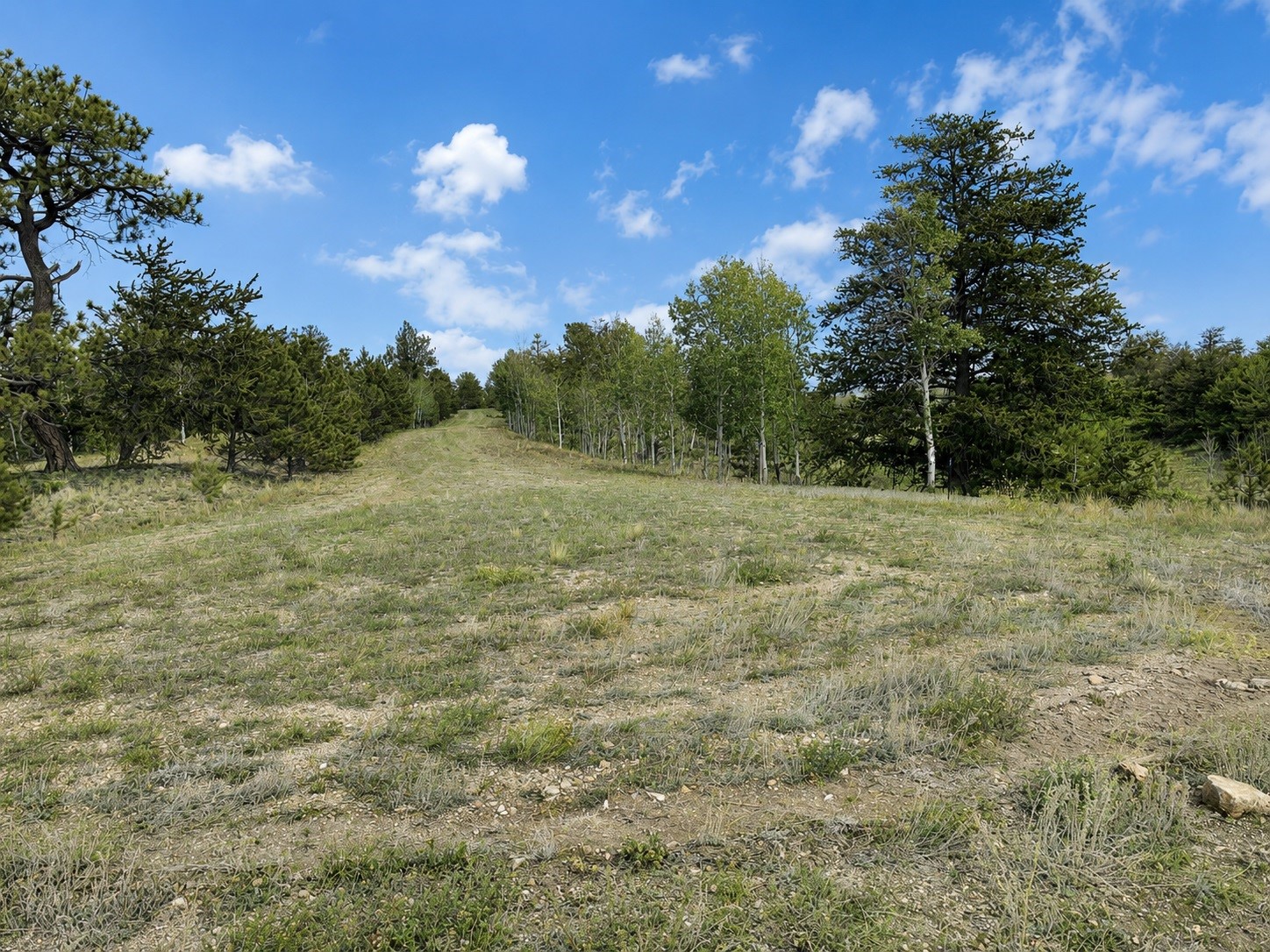 115 Black Canyon Court Hartsel CO 80449