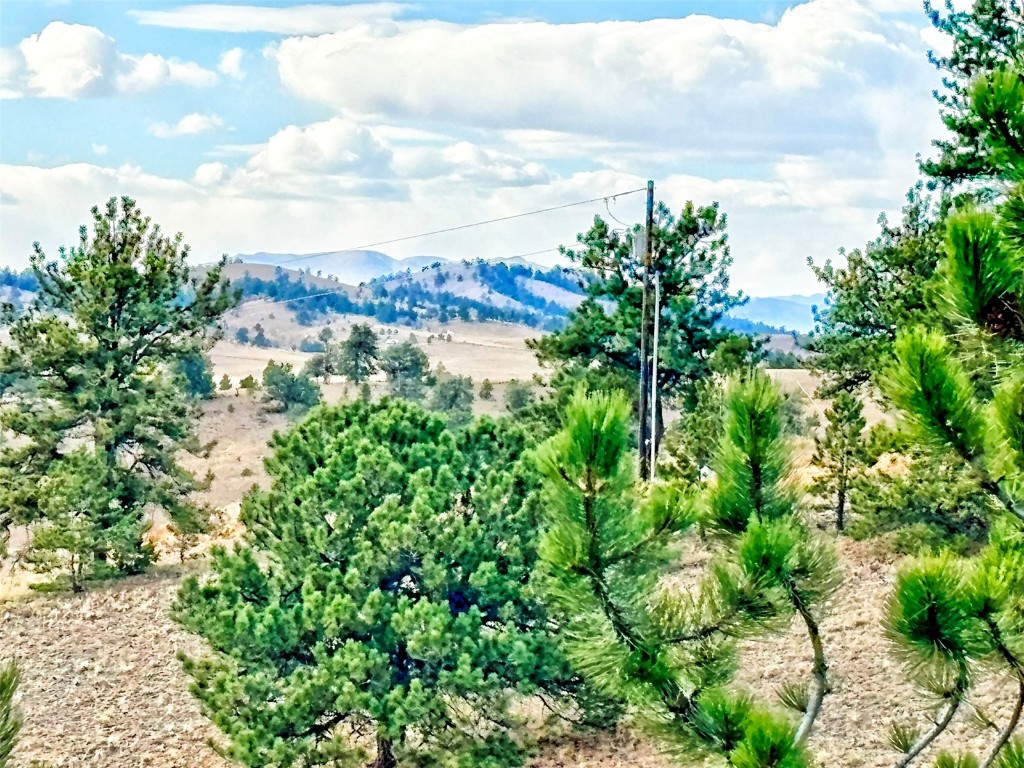 115 Black Canyon Court Hartsel CO 80449