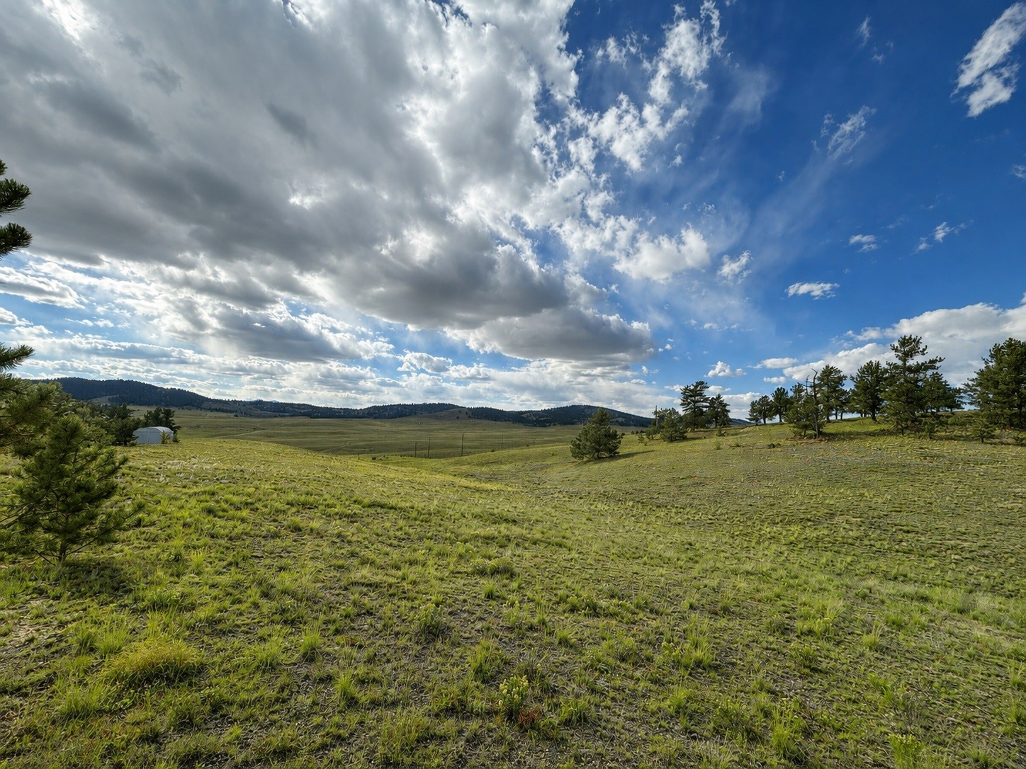 115 Black Canyon Court Hartsel CO 80449
