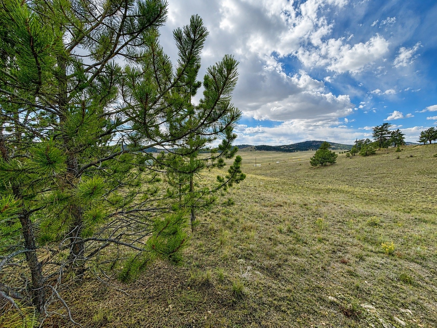 115 Black Canyon Court Hartsel CO 80449