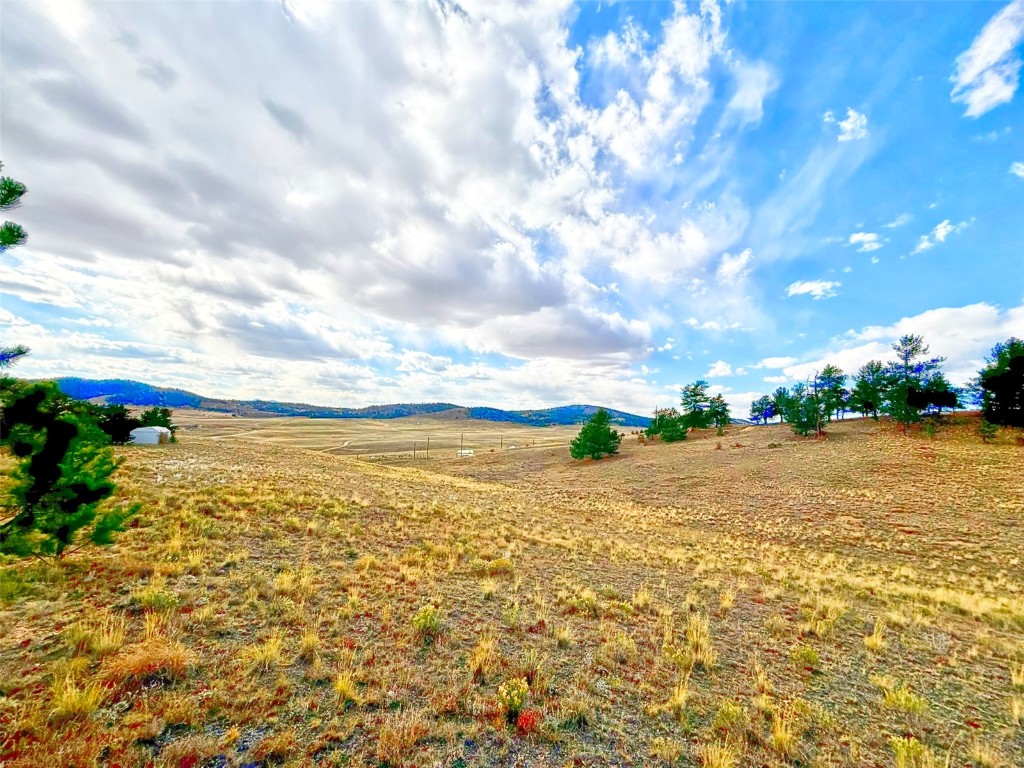 115 Black Canyon Court Hartsel CO 80449