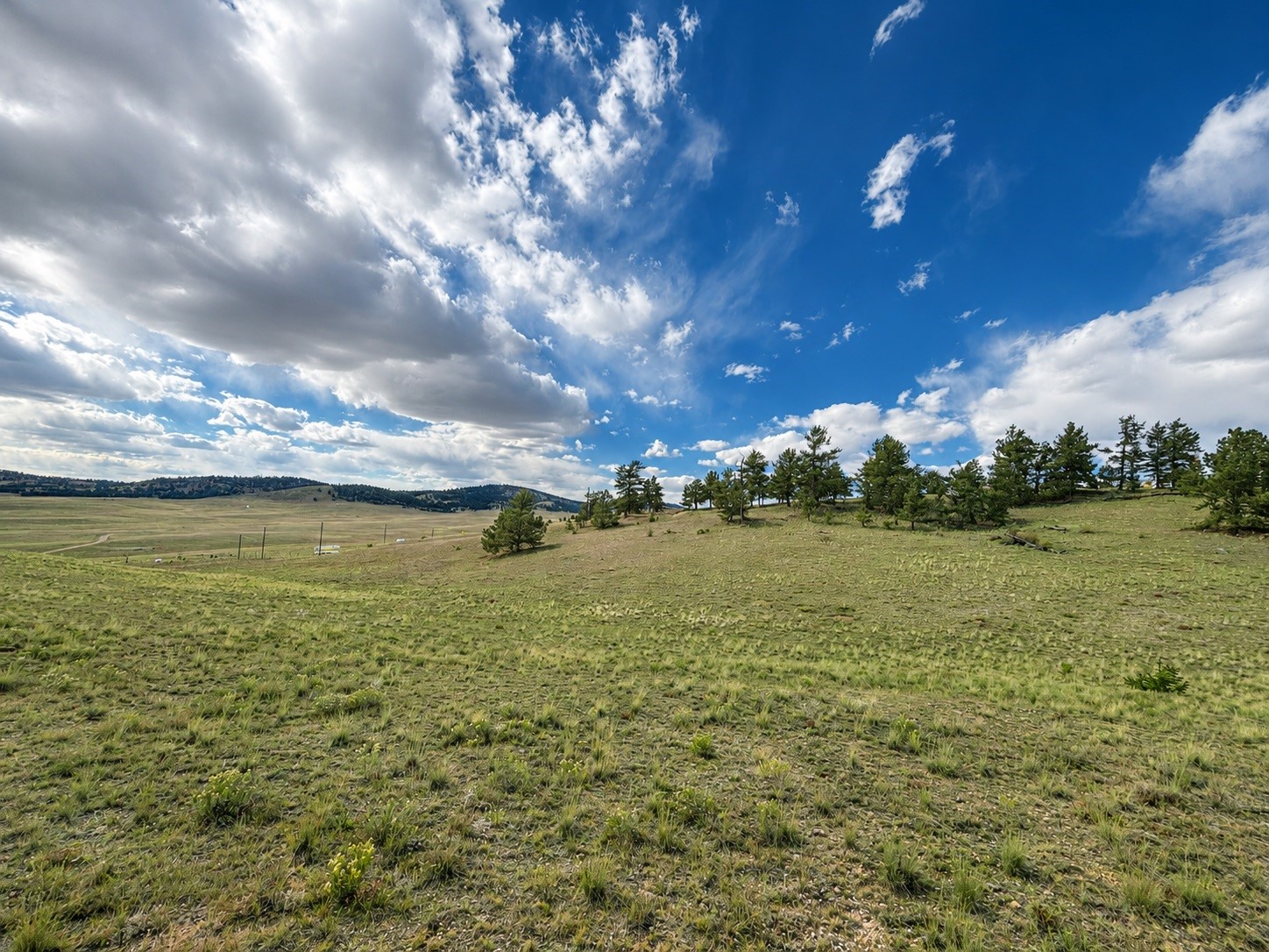 115 Black Canyon Court Hartsel CO 80449