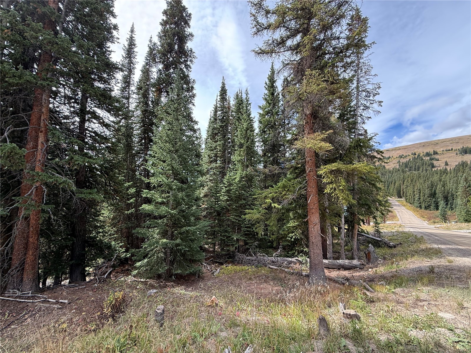 244 Camron Lane Breckenridge CO 80424