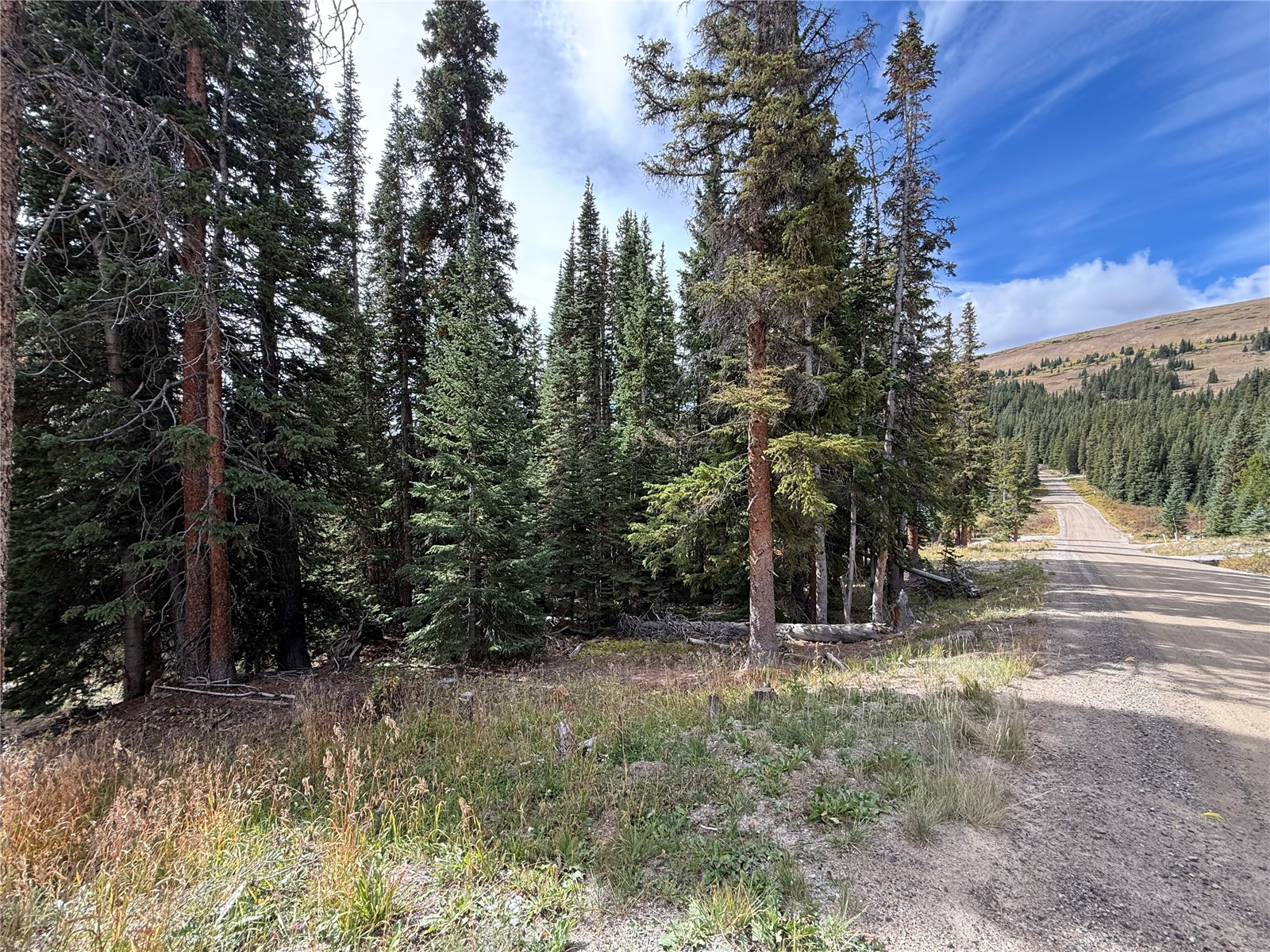 244 Camron Lane Breckenridge CO 80424