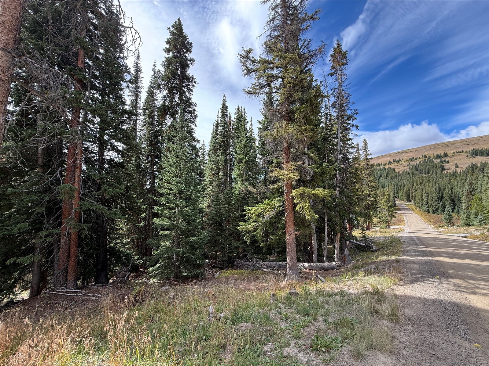 244 Camron Lane Breckenridge CO 80424
