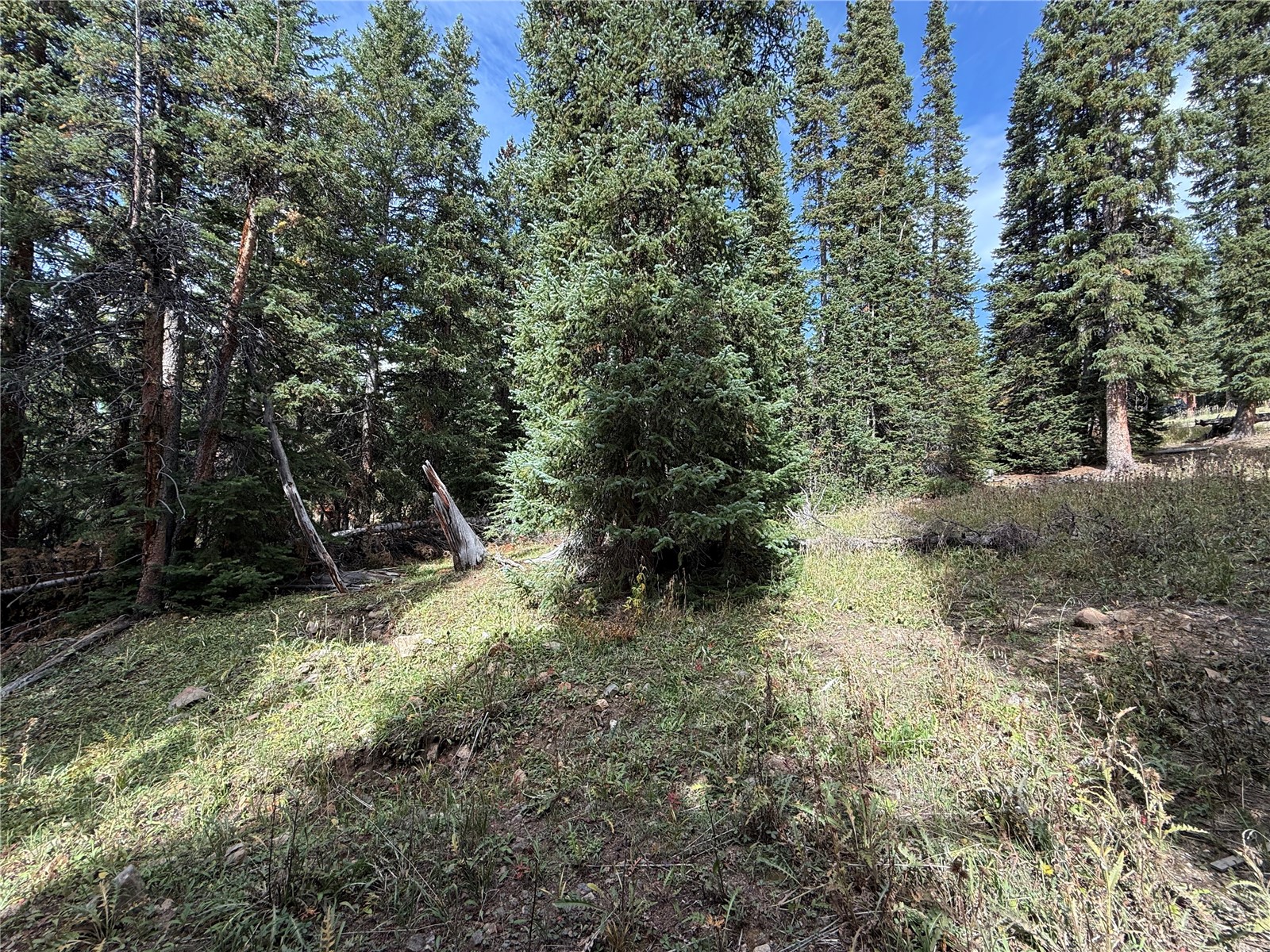 244 Camron Lane Breckenridge CO 80424