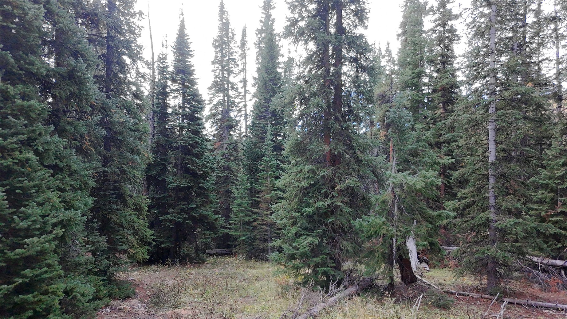 244 Camron Lane Breckenridge CO 80424