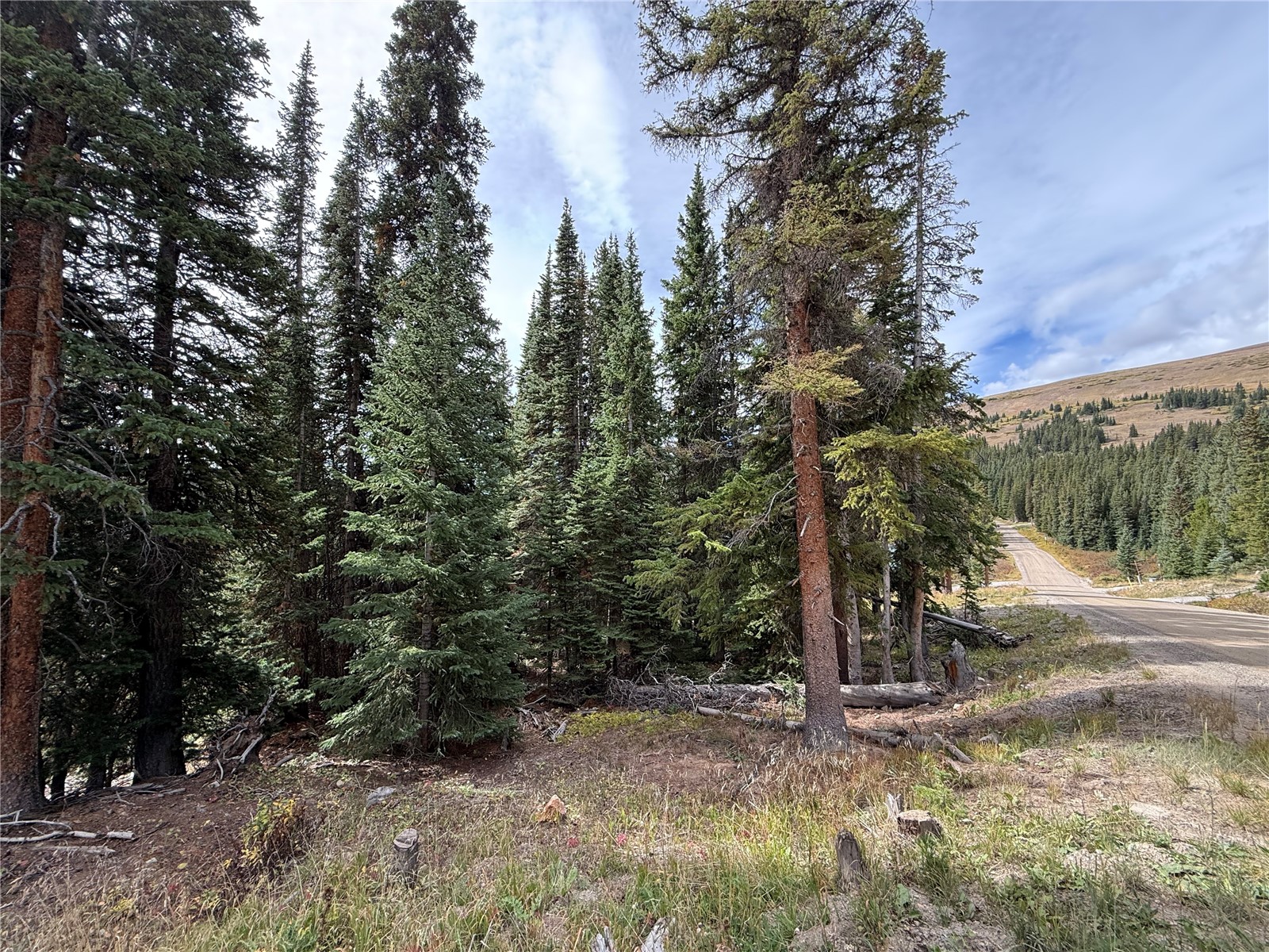 244 Camron Lane Breckenridge CO 80424