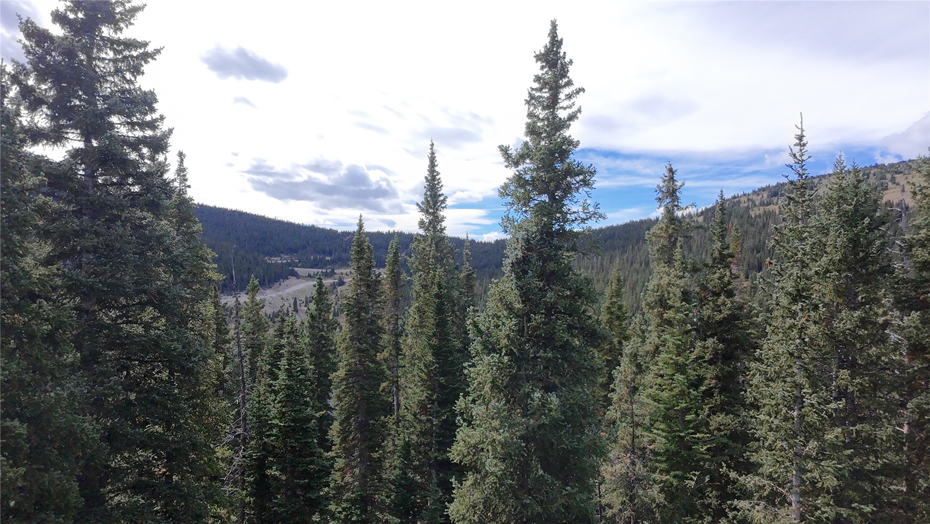 244 Camron Lane Breckenridge CO 80424