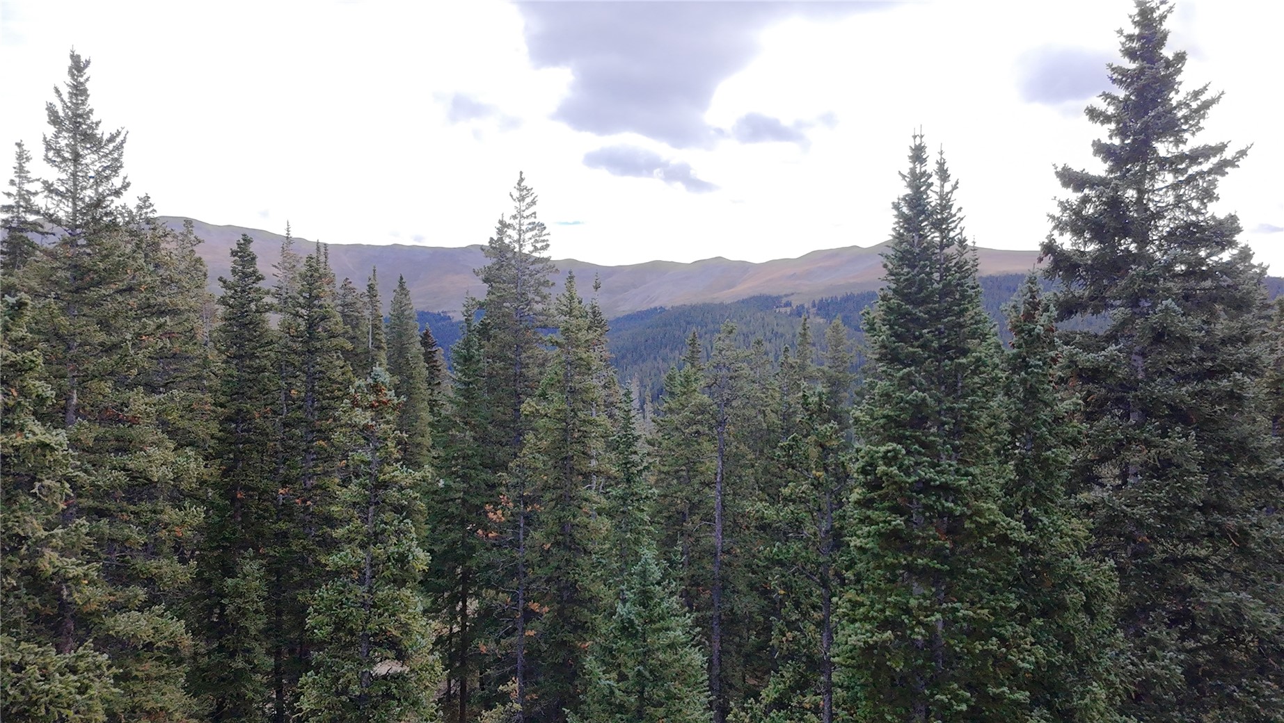 244 Camron Lane Breckenridge CO 80424