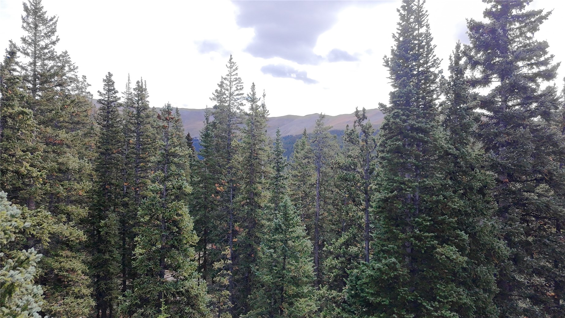 244 Camron Lane Breckenridge CO 80424
