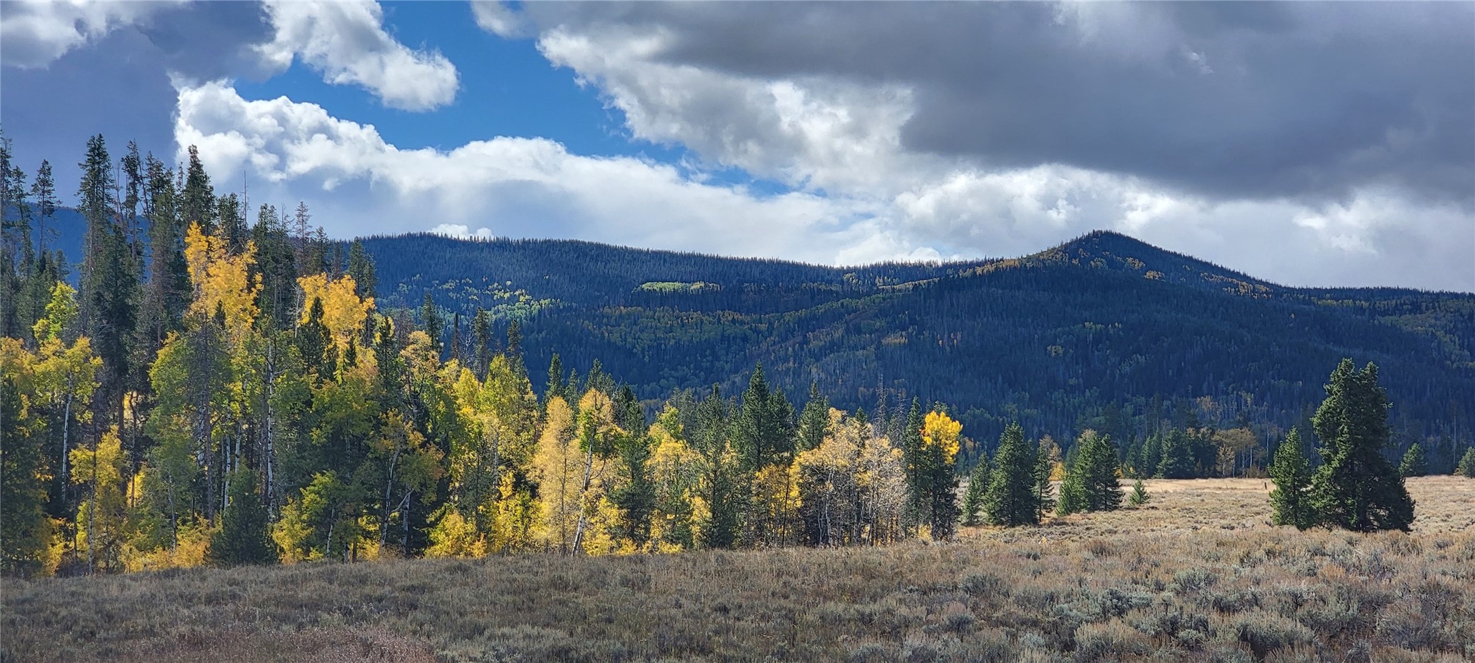 Tbd Cody Trail Oak Creek CO 80467