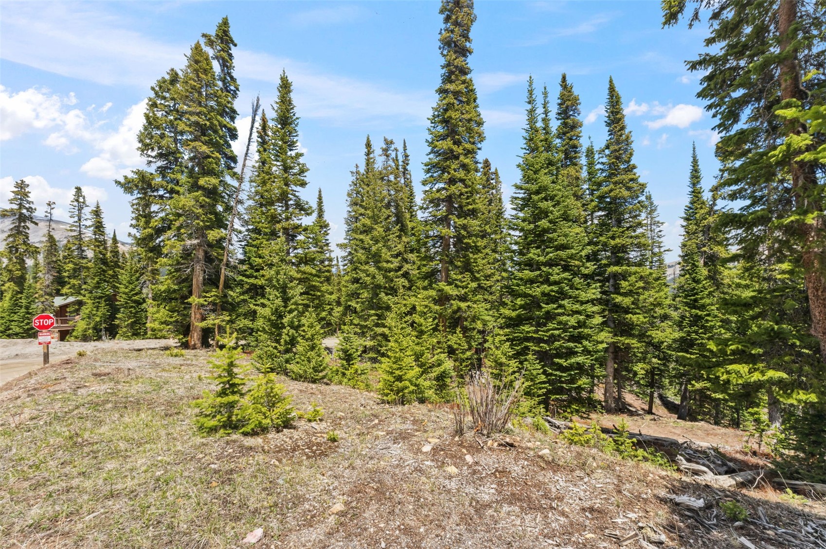 462 Kimmes Lane Breckenridge CO 80424