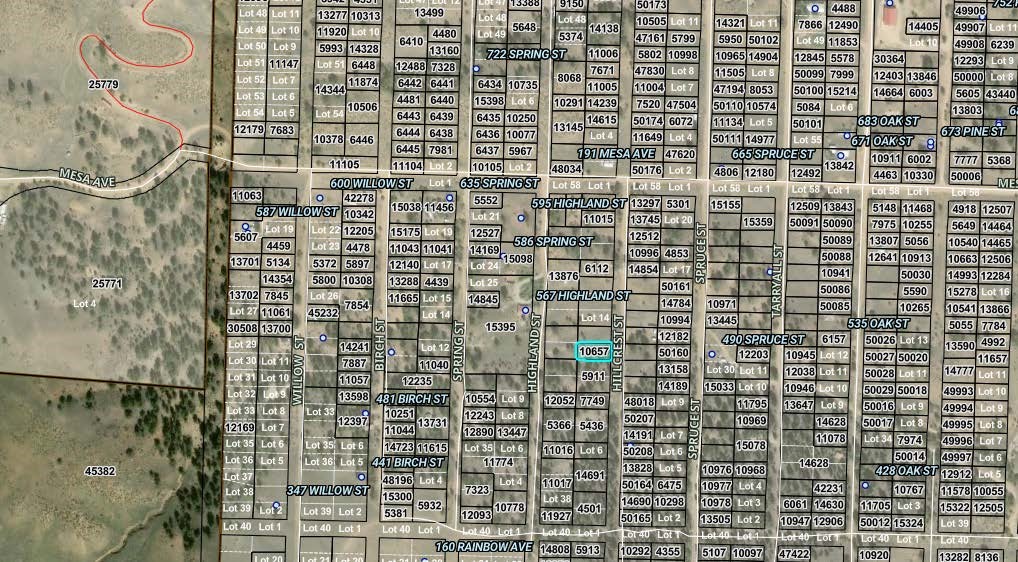 00000 Hillcrest Street Hartsel CO 80449