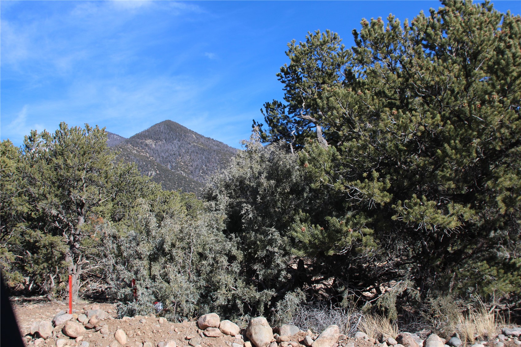 2698-2702 Holiday Way Other CO 81131